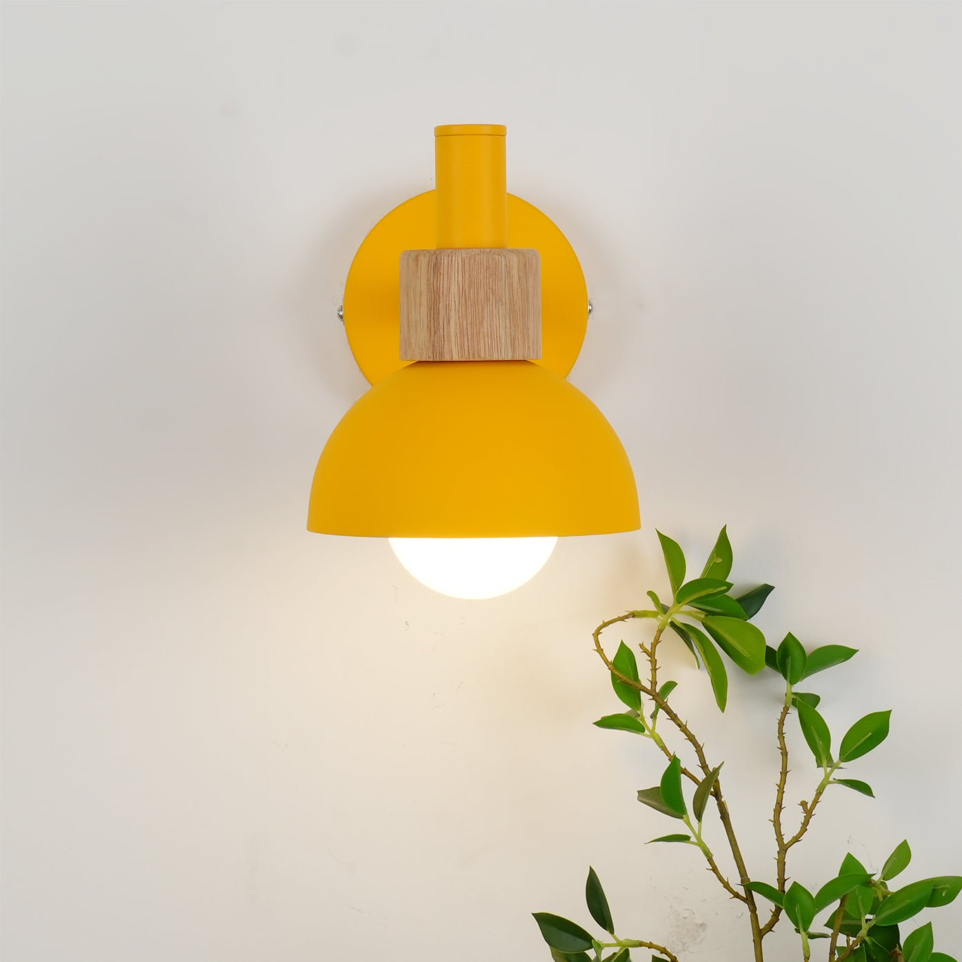 Fanta Wall Lamp - Lumpaz