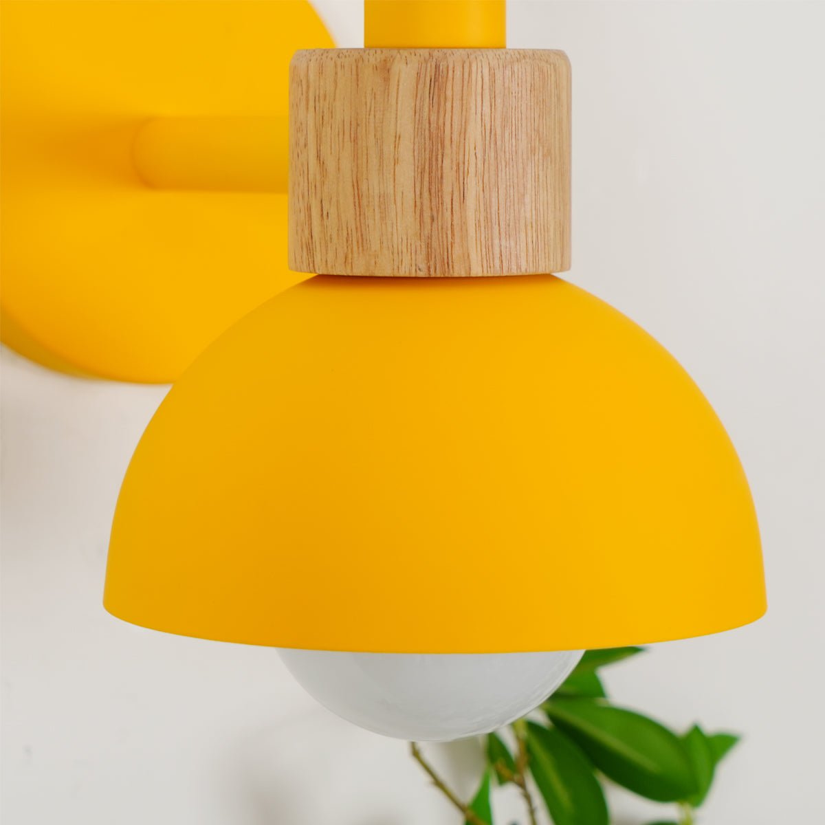 Fanta Wall Lamp - Lumpaz
