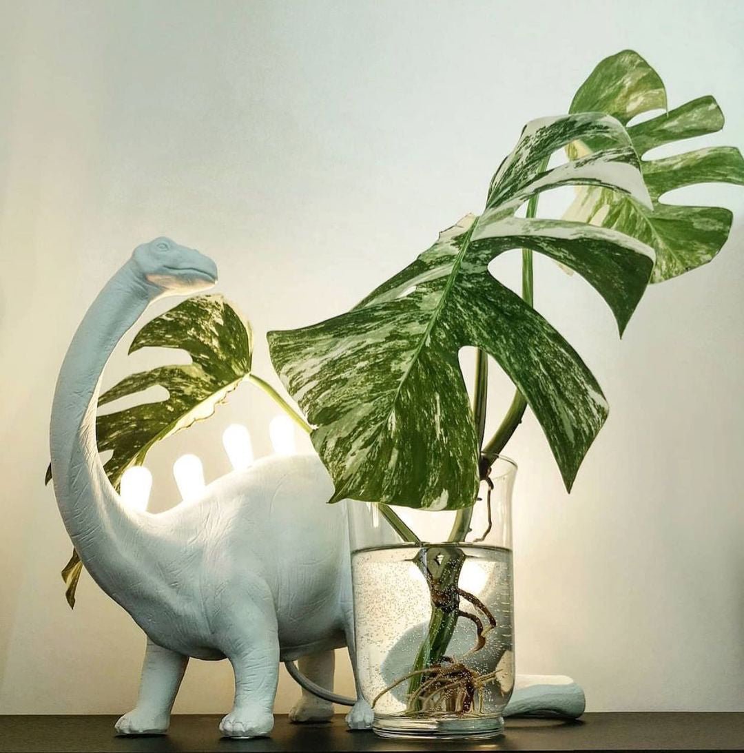 Stegosaurus Table Lamp - Lumpaz