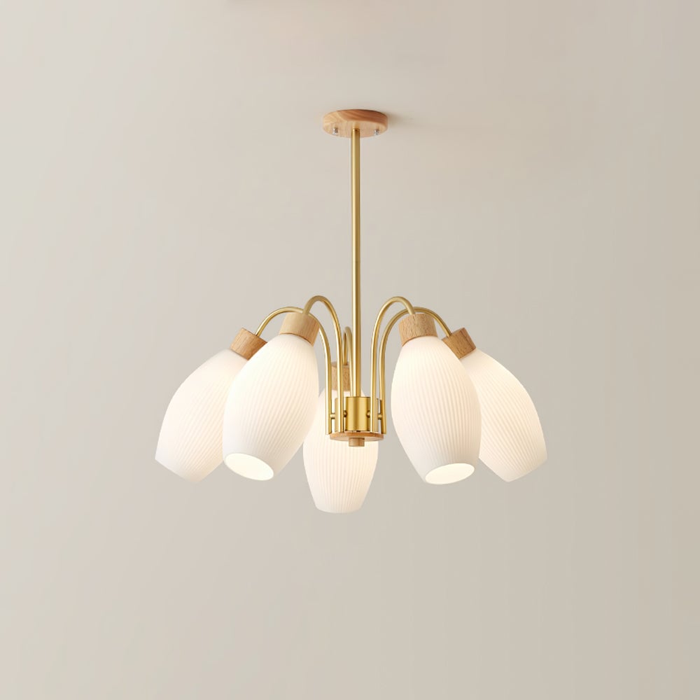 Petaluma Chandelier - Lumpaz