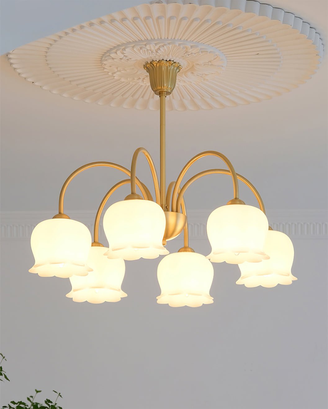 Morup Chandelier - Lumpaz