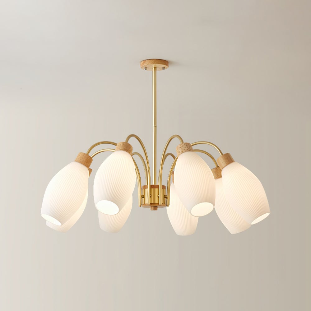Petaluma Chandelier - Lumpaz