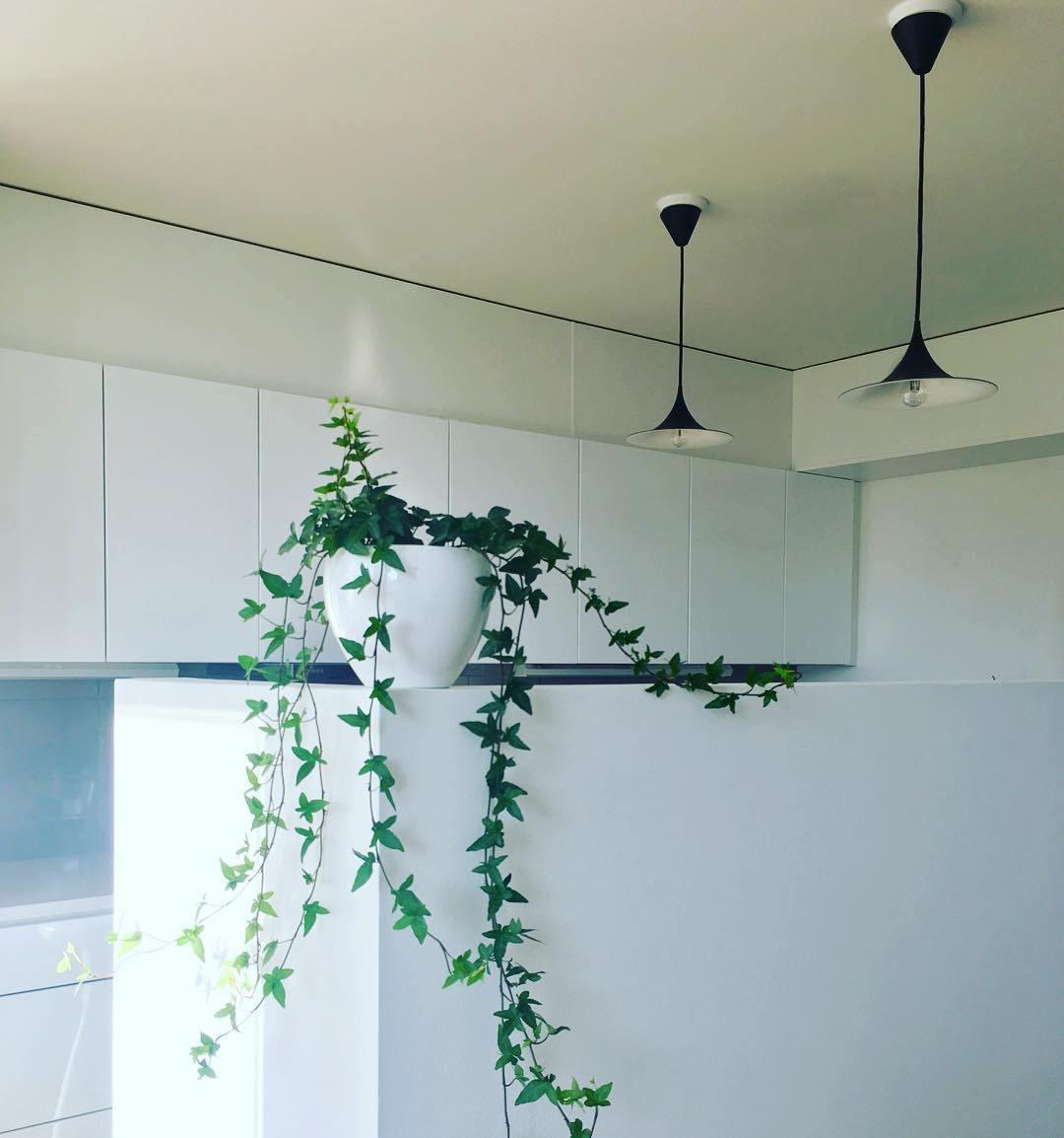 Semi Pendant Light - Lumpaz