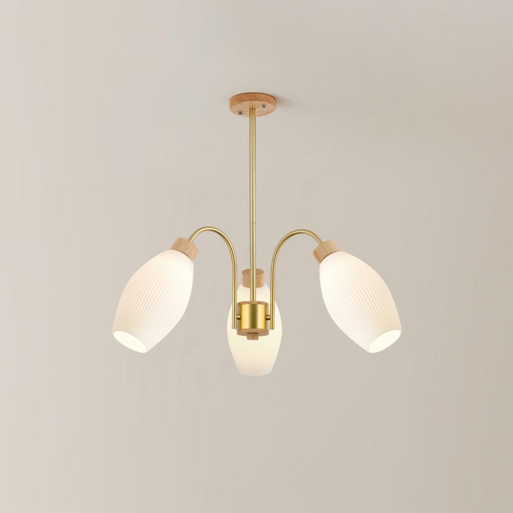 Petaluma Chandelier - Lumpaz