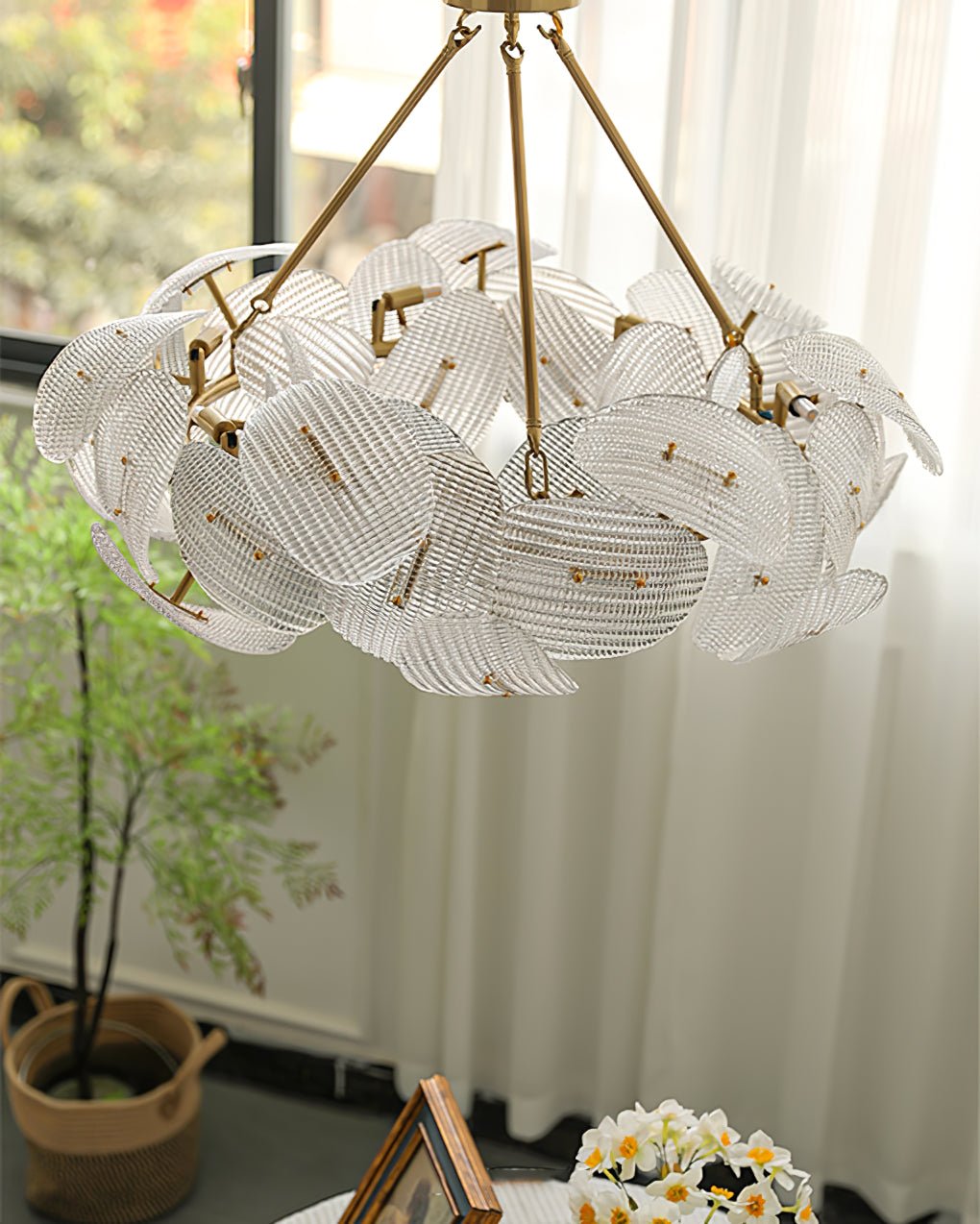 Aster Chandelier - Lumpaz