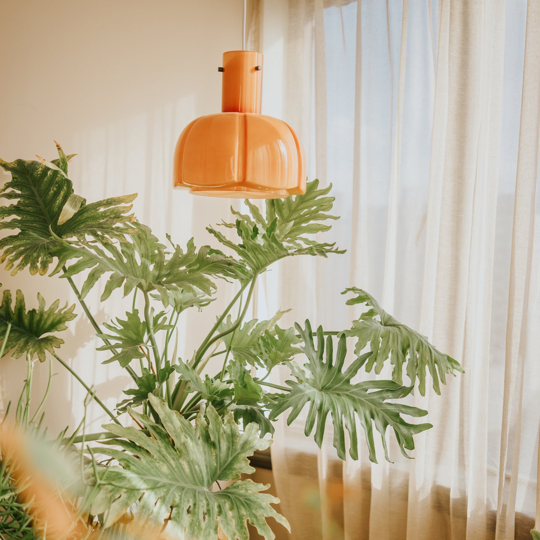 Paolina Pendant Light - Lumpaz