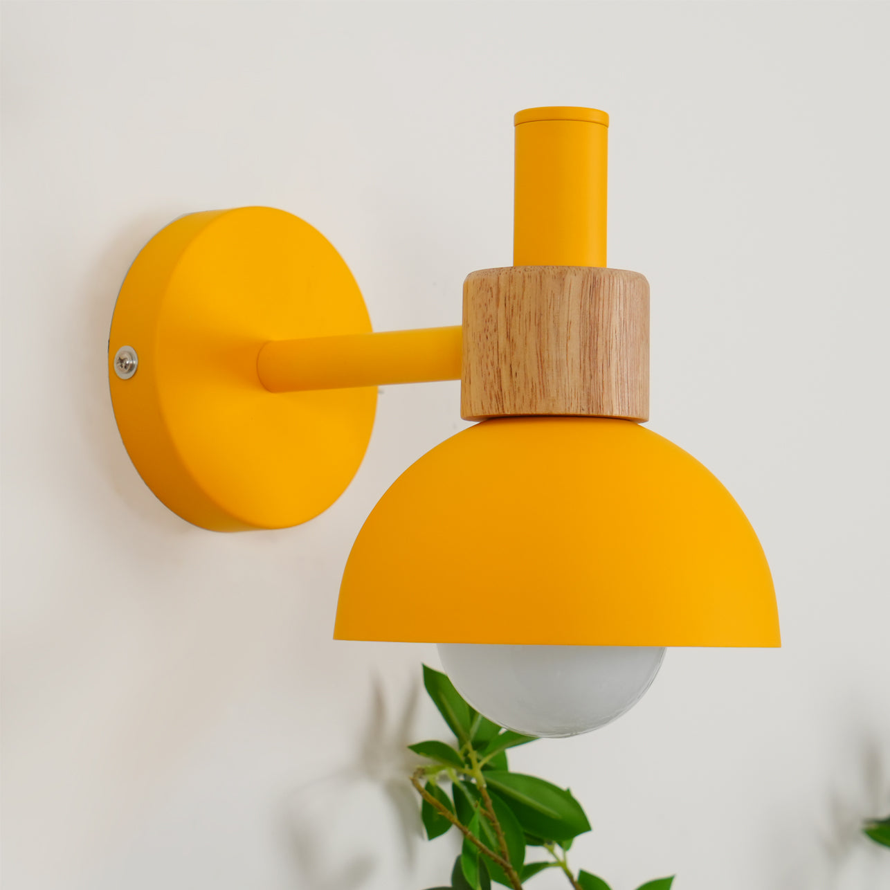 Fanta Wall Lamp - Lumpaz