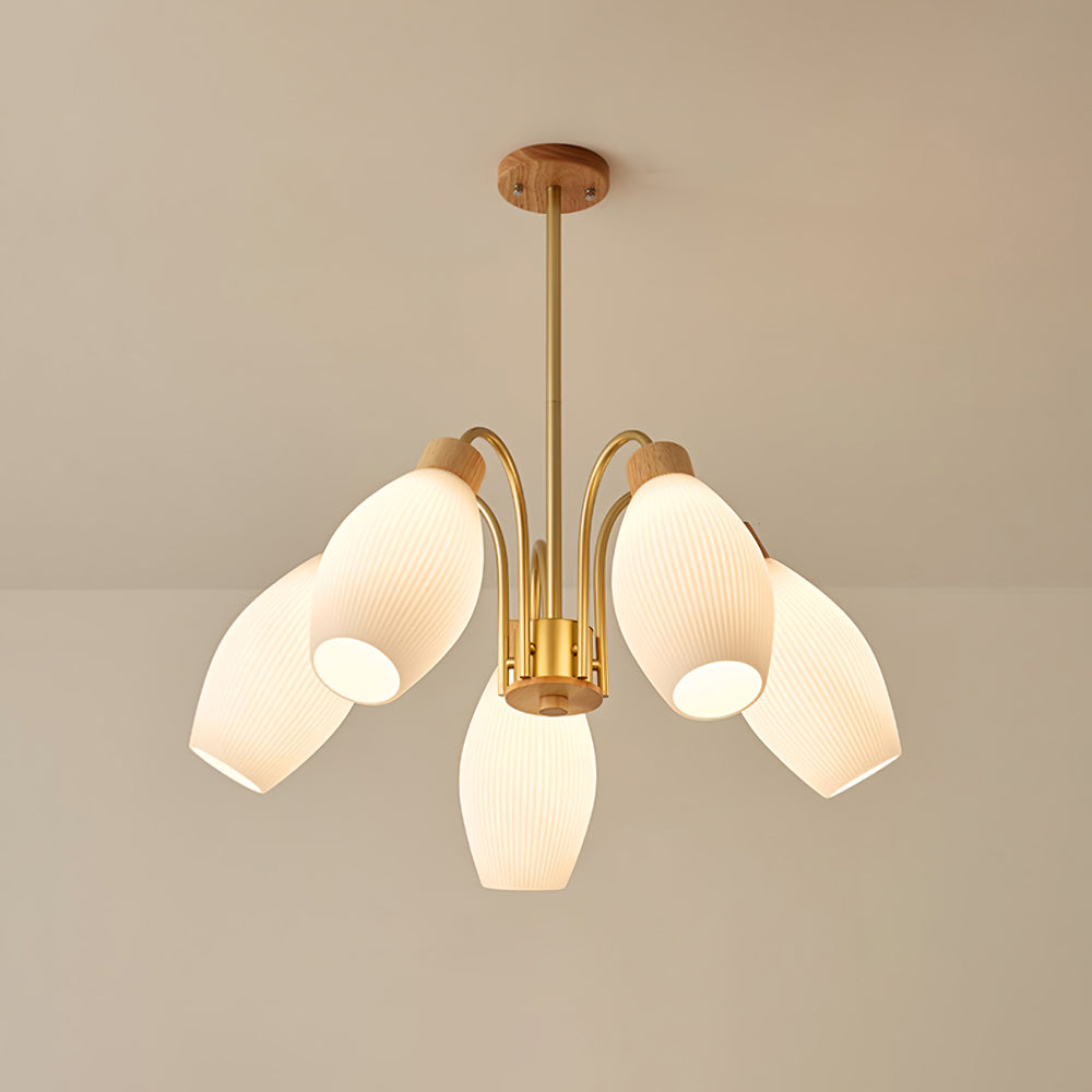Petaluma Chandelier - Lumpaz