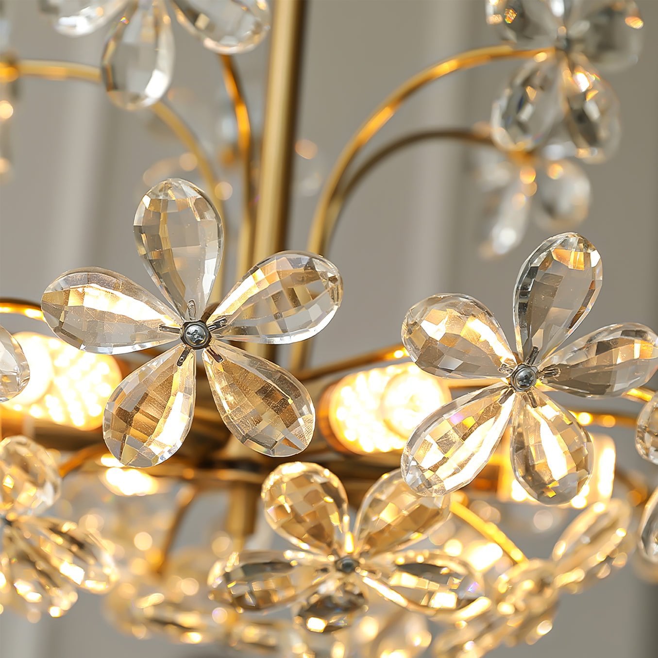 Brielle Chandelier - Lumpaz