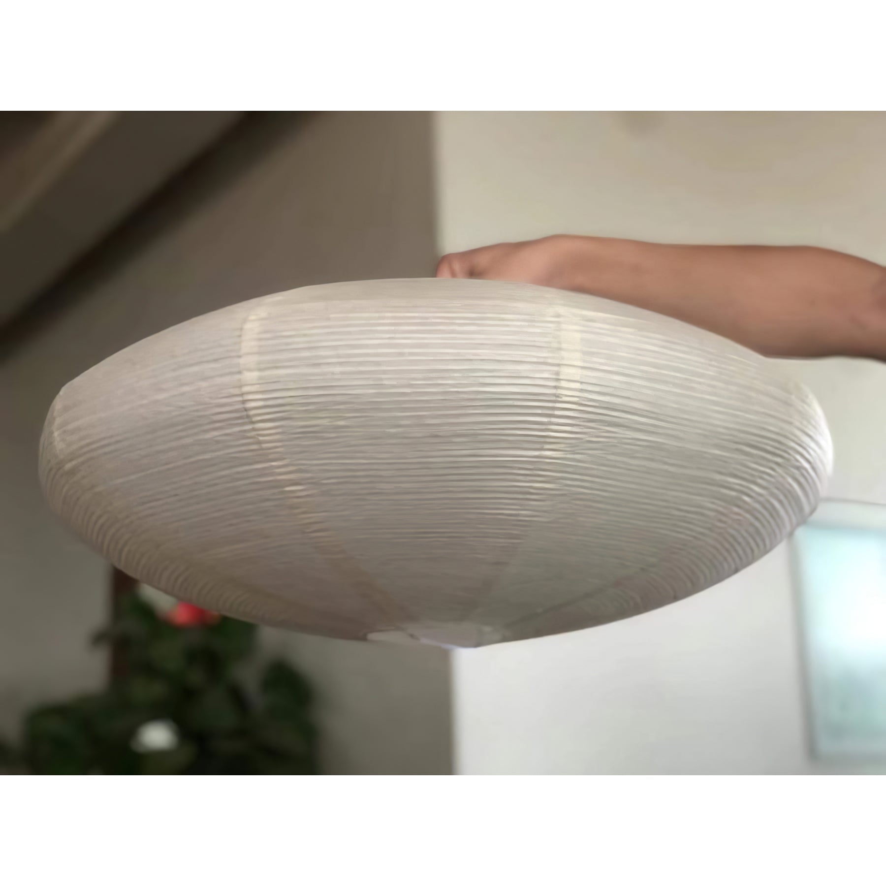 Rice Paper 15A Swag Lights - Lumpaz