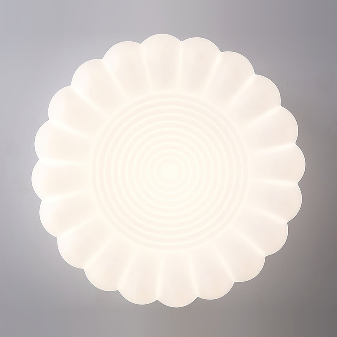 Alta Pendant Lamp - Lumpaz