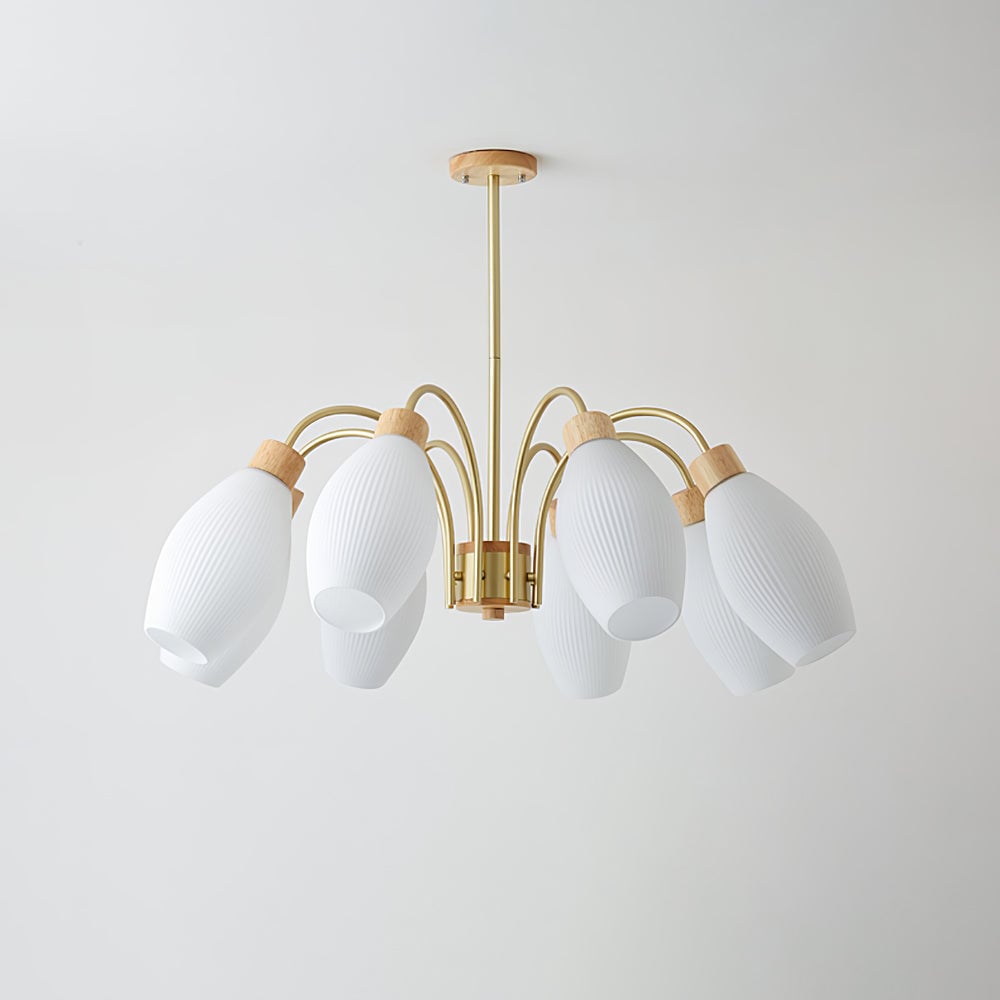 Petaluma Chandelier - Lumpaz