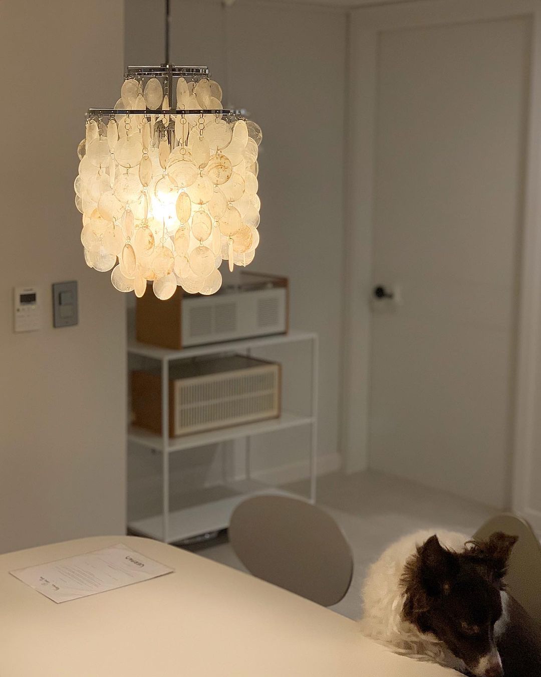 Seashells Pendant Light - Lumpaz