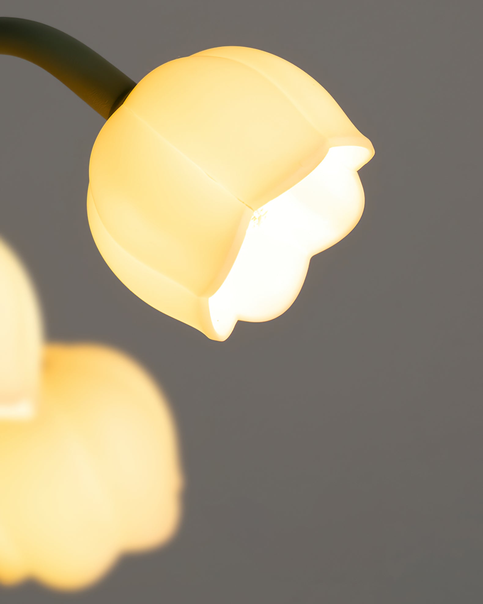 Bell Orchid Table Lamp - Lumpaz