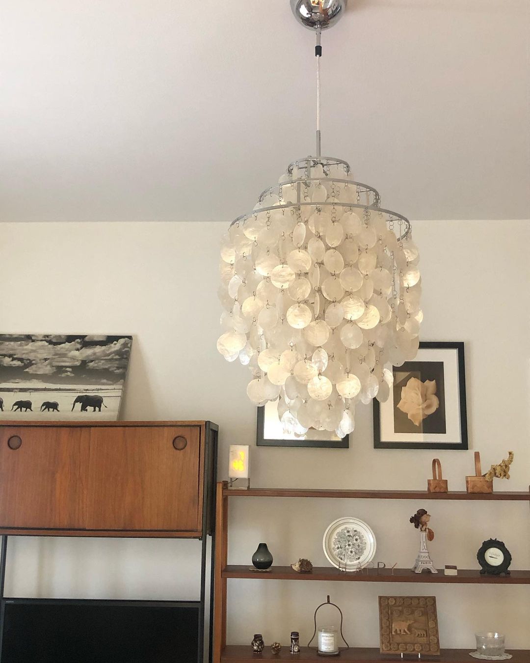 Seashells Pendant Light - Lumpaz