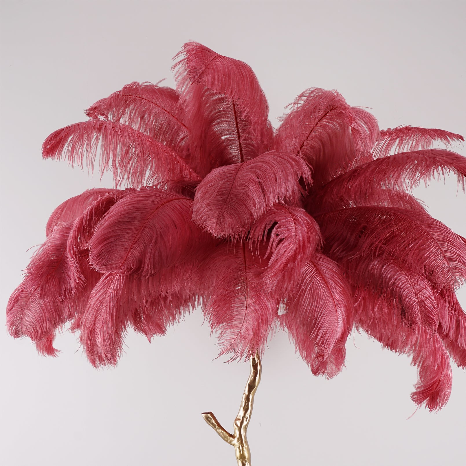 Ostrich Feather Brass Floor Lamp - Lumpaz