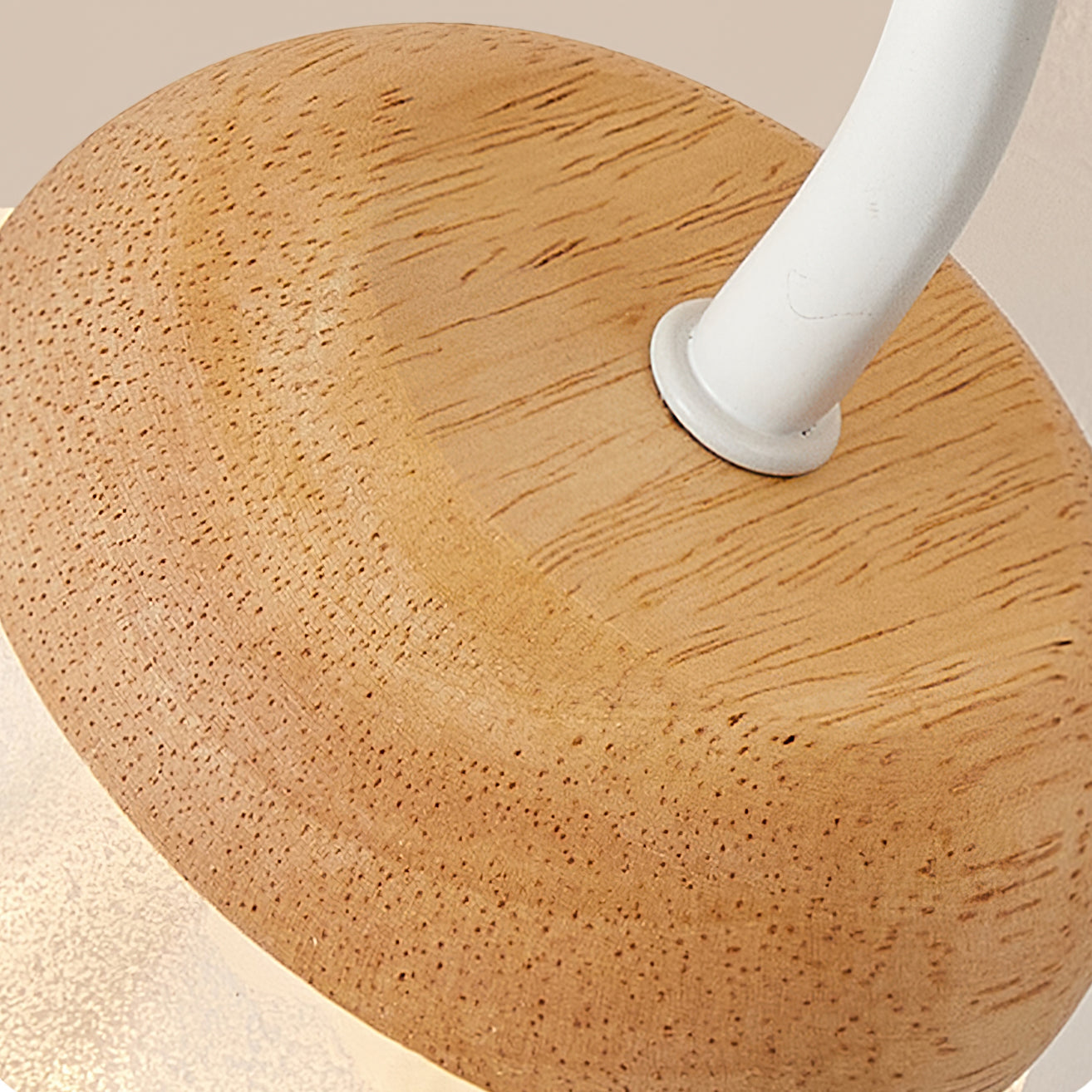 Canister Flower Ceiling Lamp - Lumpaz