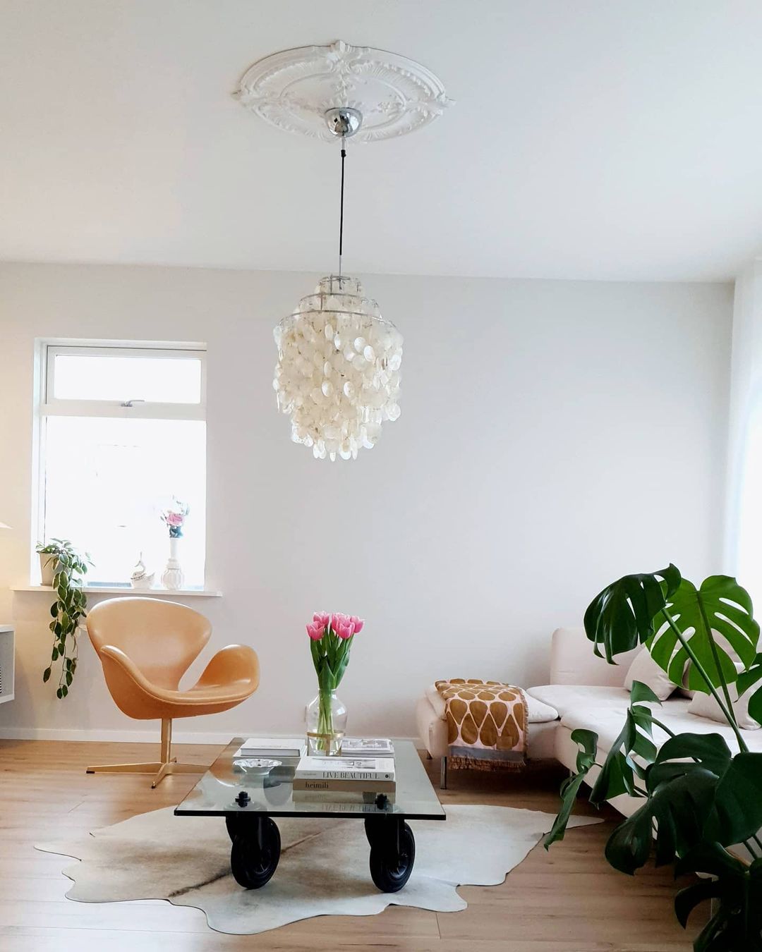 Seashells Pendant Light - Lumpaz