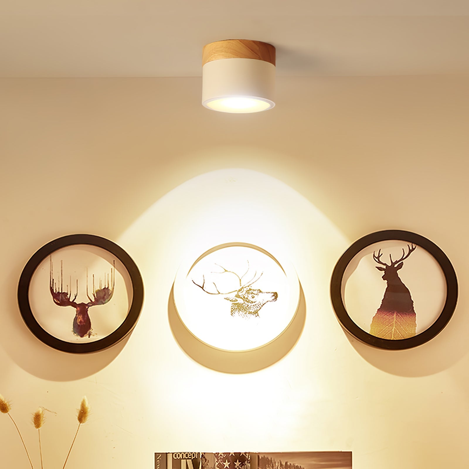 Plafonnier Spot Ceiling Lamp - Lumpaz