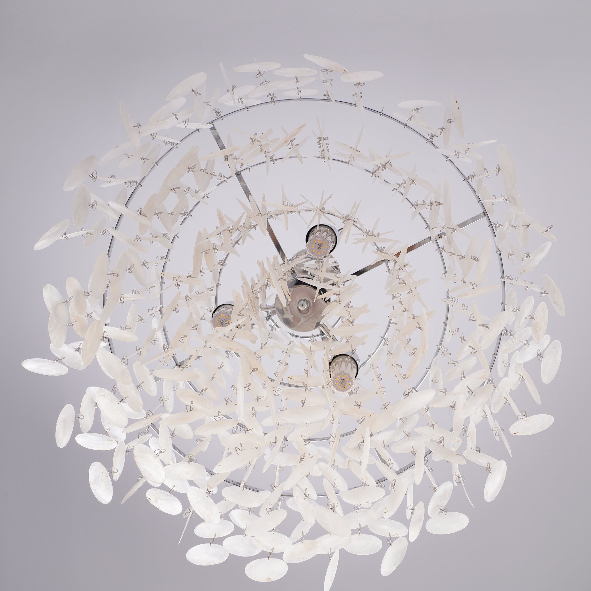 Seashells Pendant Light - Lumpaz