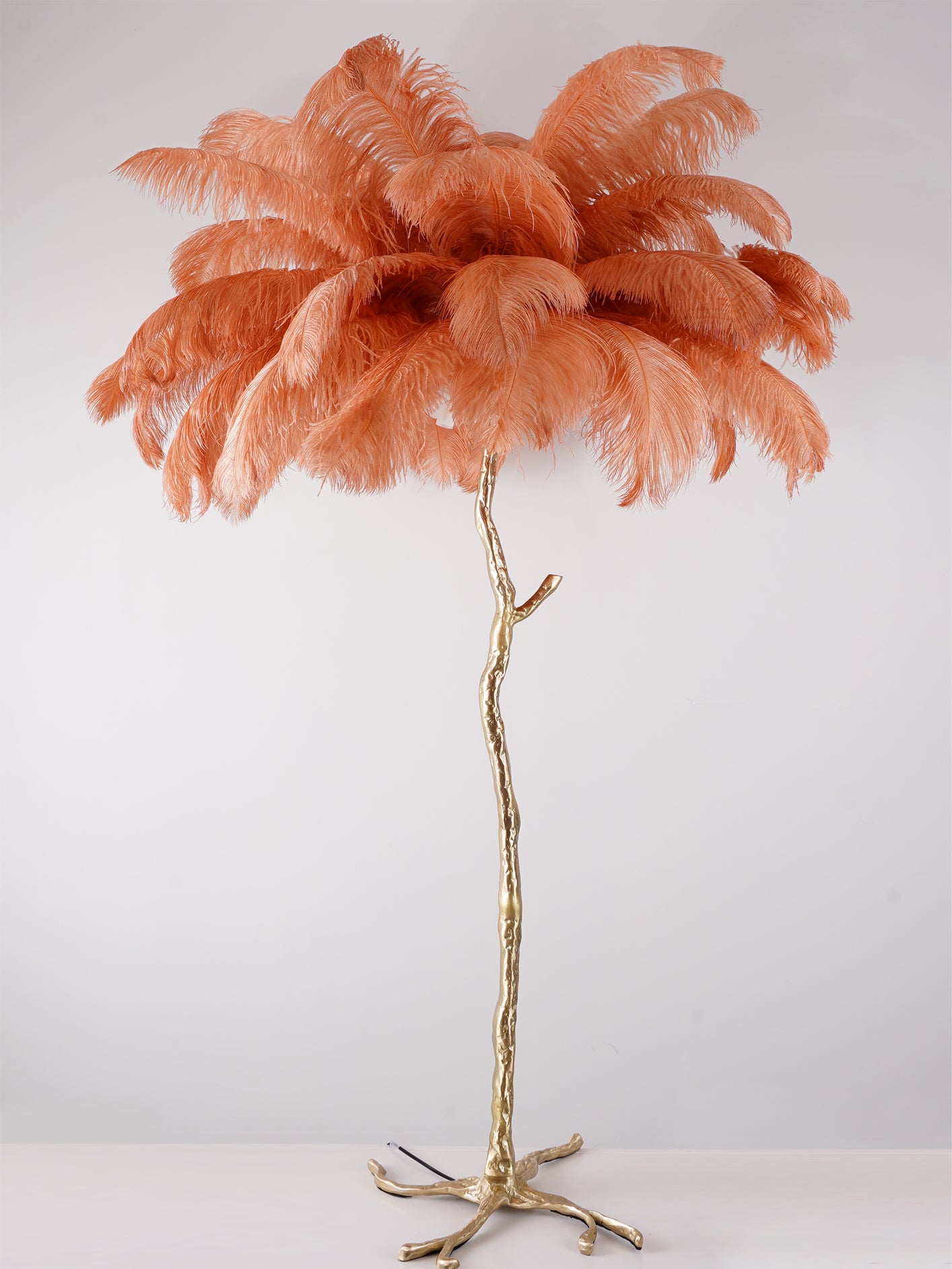 Ostrich Feather Brass Floor Lamp - Lumpaz