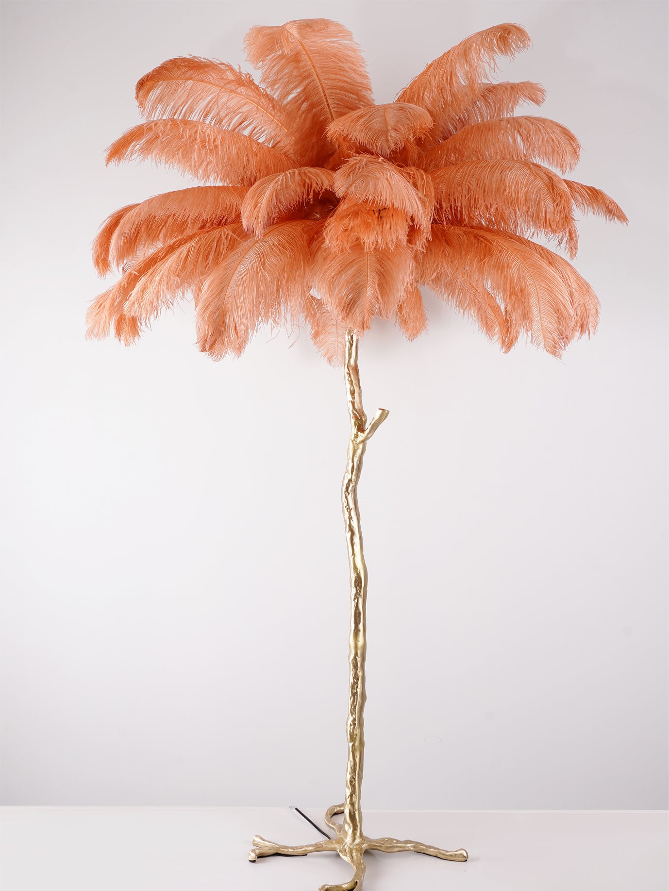 Ostrich Feather Brass Floor Lamp - Lumpaz