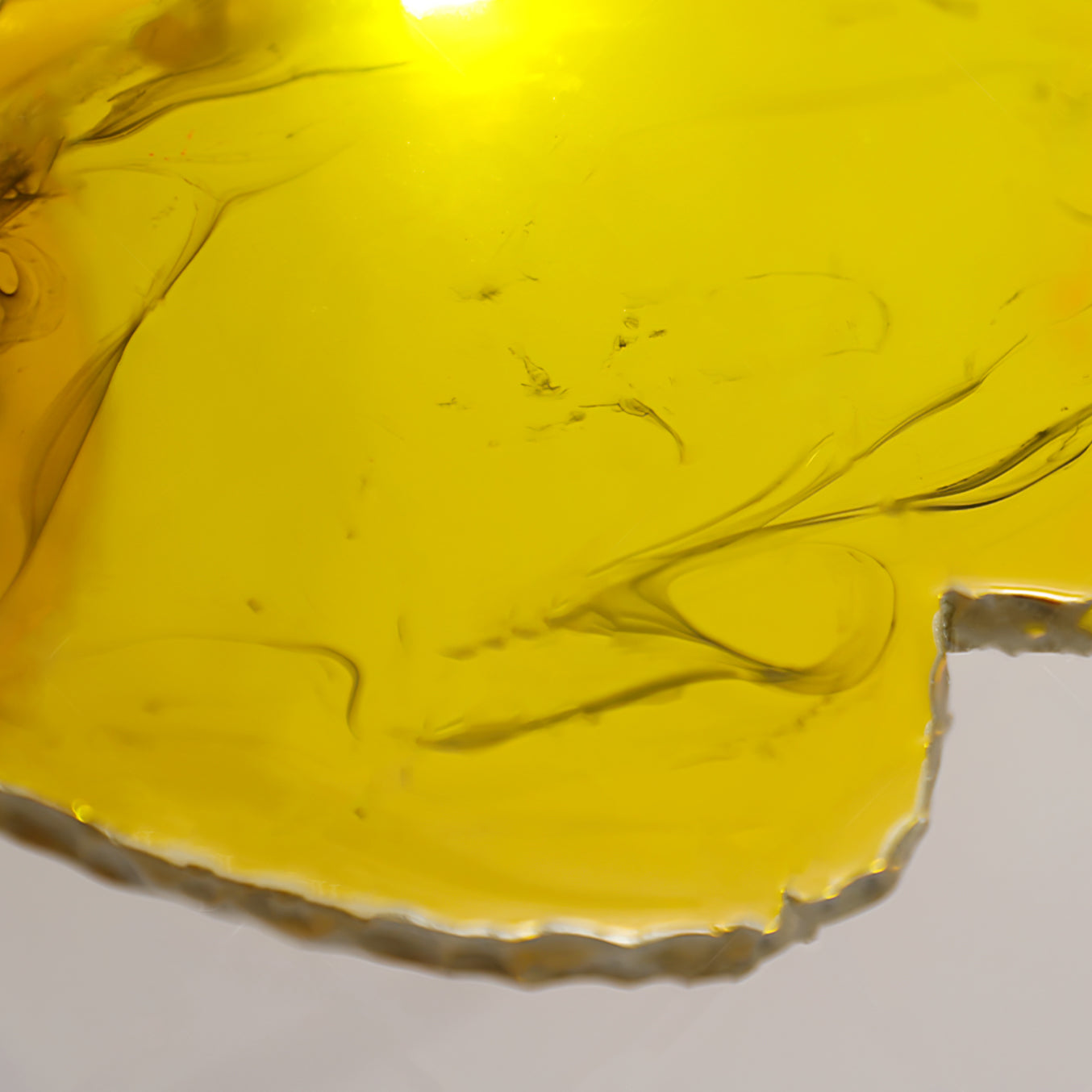 Sabrina Butterfly Pendant Lamp - Lumpaz