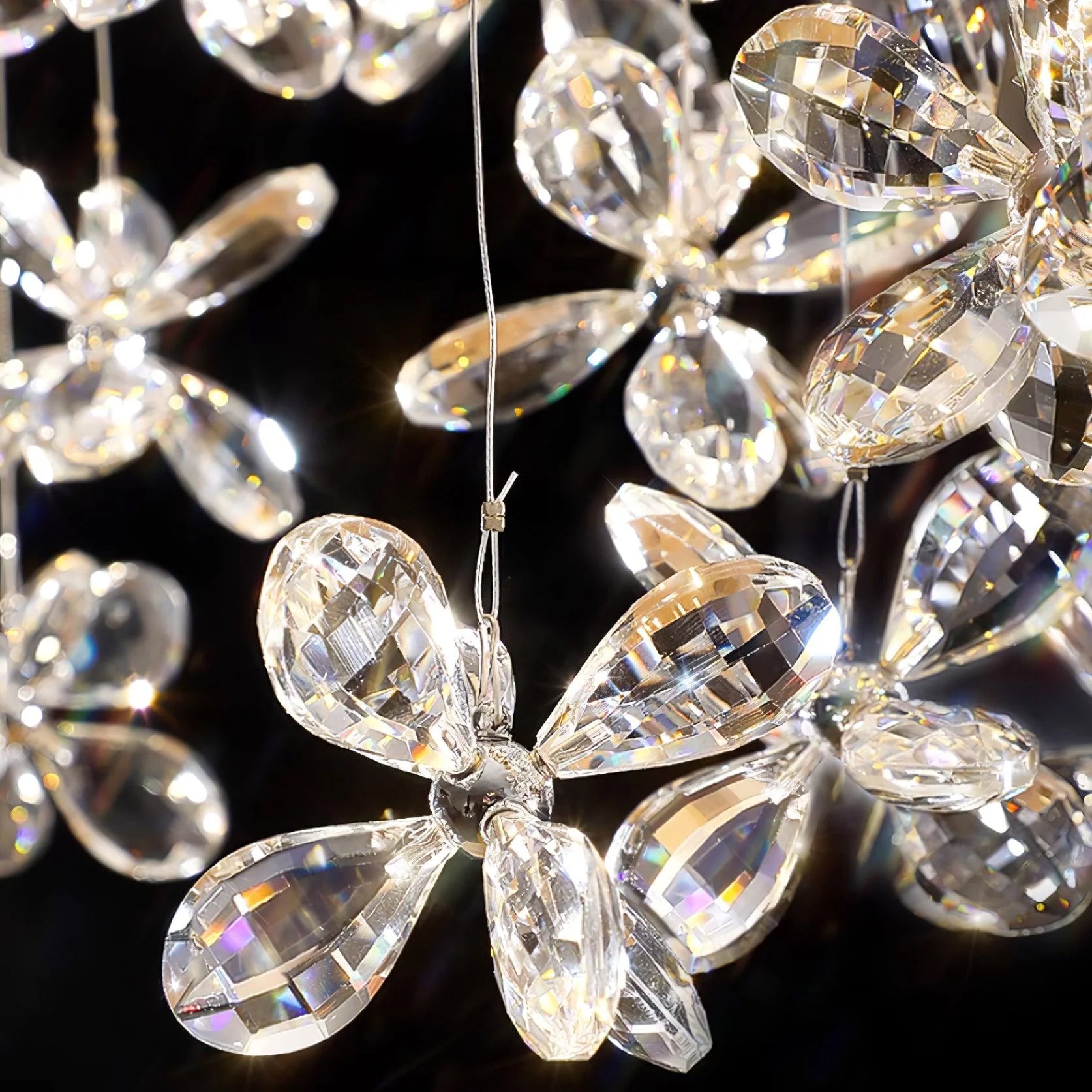 Floating Butterfly Chandelier - Lumpaz