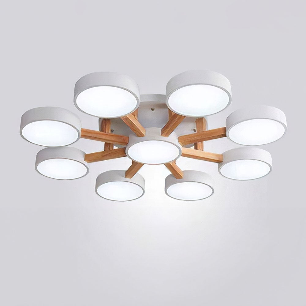 Contemporary Acrylic Multi-Heads Ceiling Light - Lumpaz