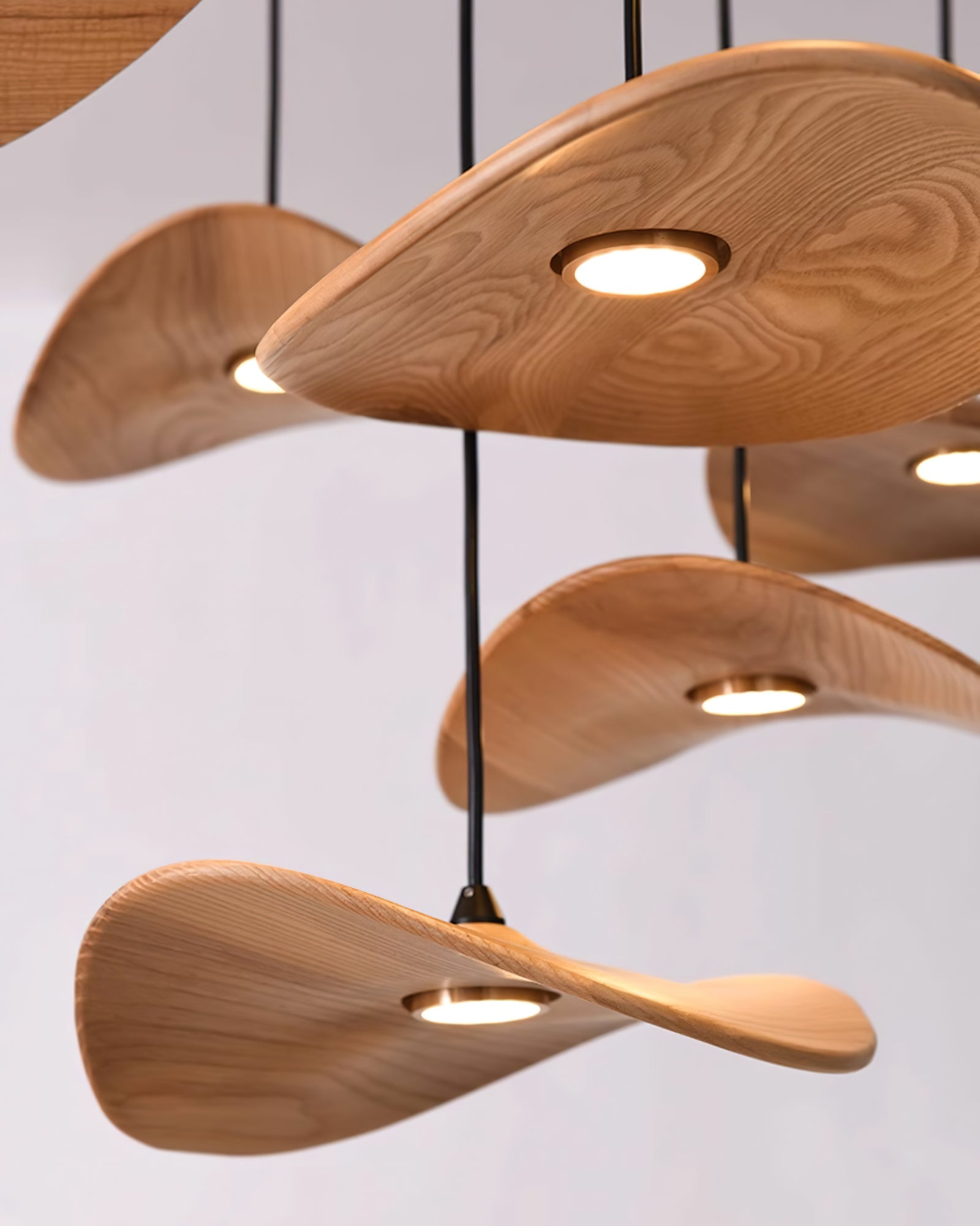 Empty Leaf Chandelier - Lumpaz