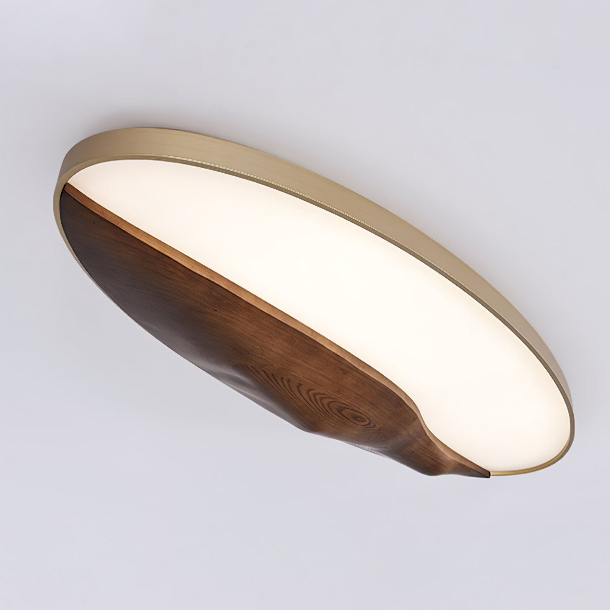 Half-Mountain Ceiling Lamp - Lumpaz