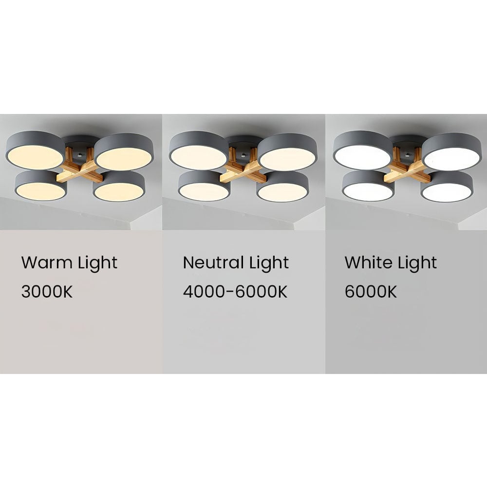 Contemporary Acrylic Multi-Heads Ceiling Light - Lumpaz