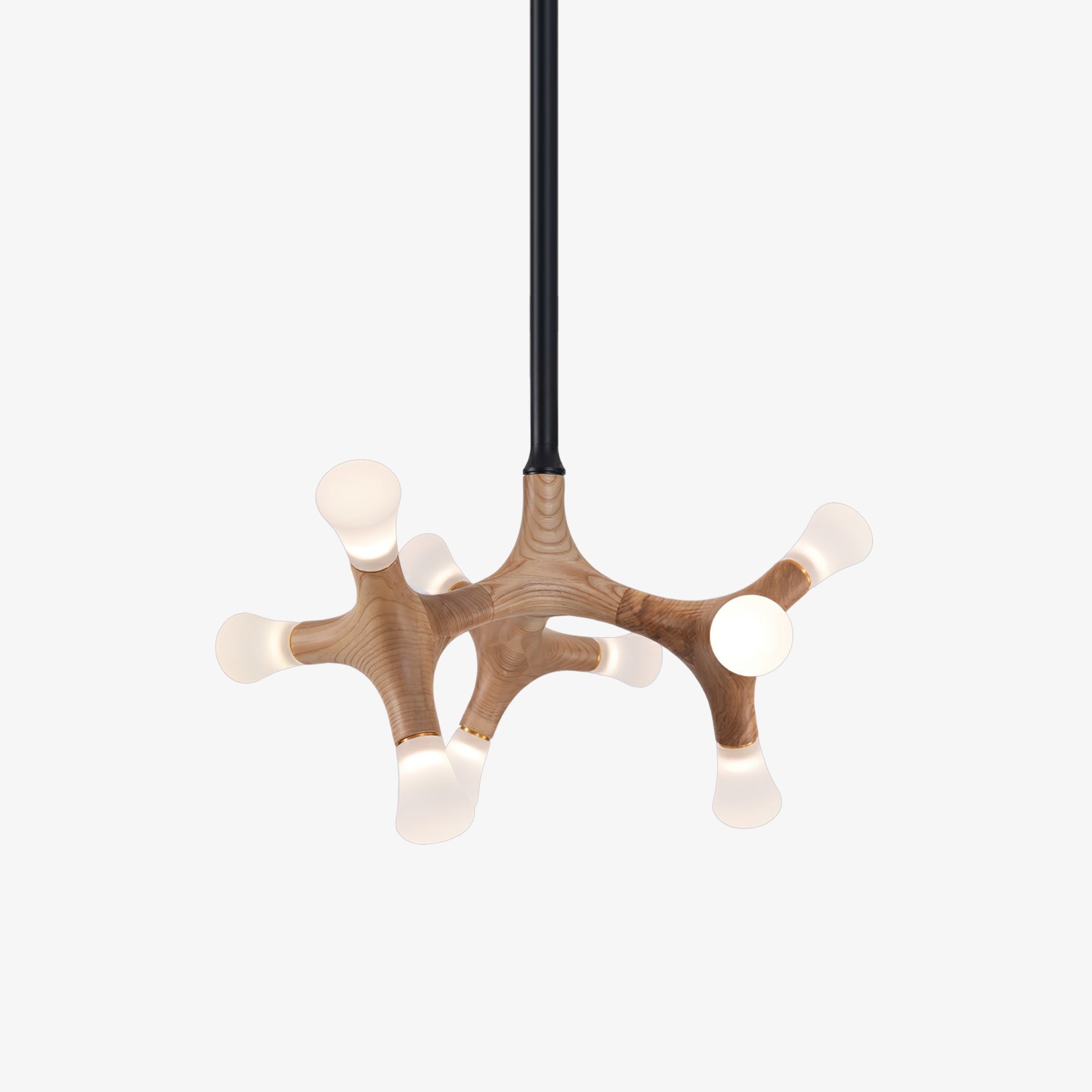Flower Bone Chandelier - Lumpaz