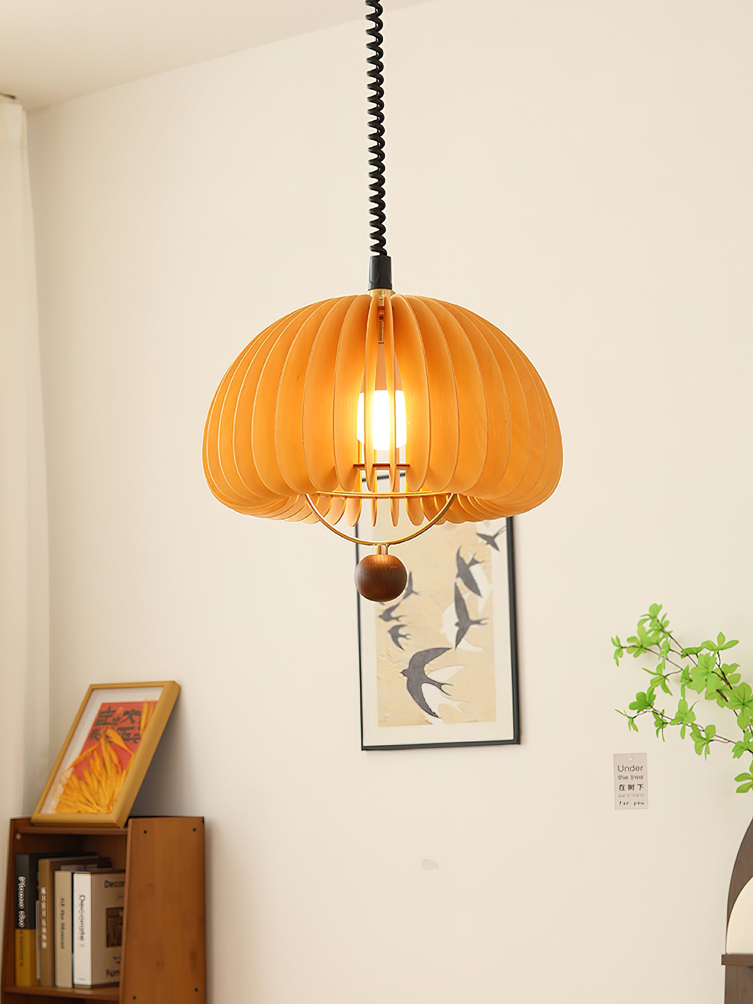 Pumpkin Adjustable Pendant Light - Lumpaz