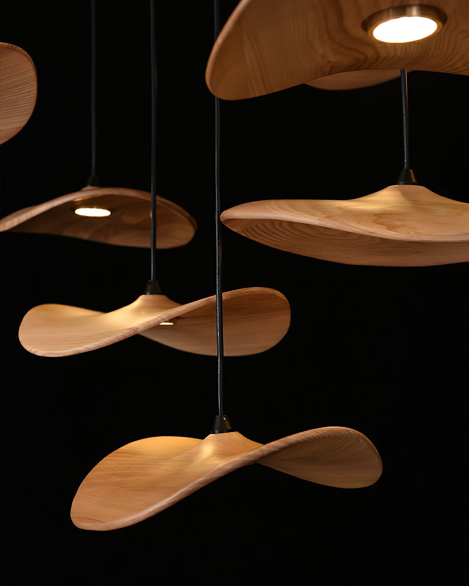 Empty Leaf Chandelier - Lumpaz