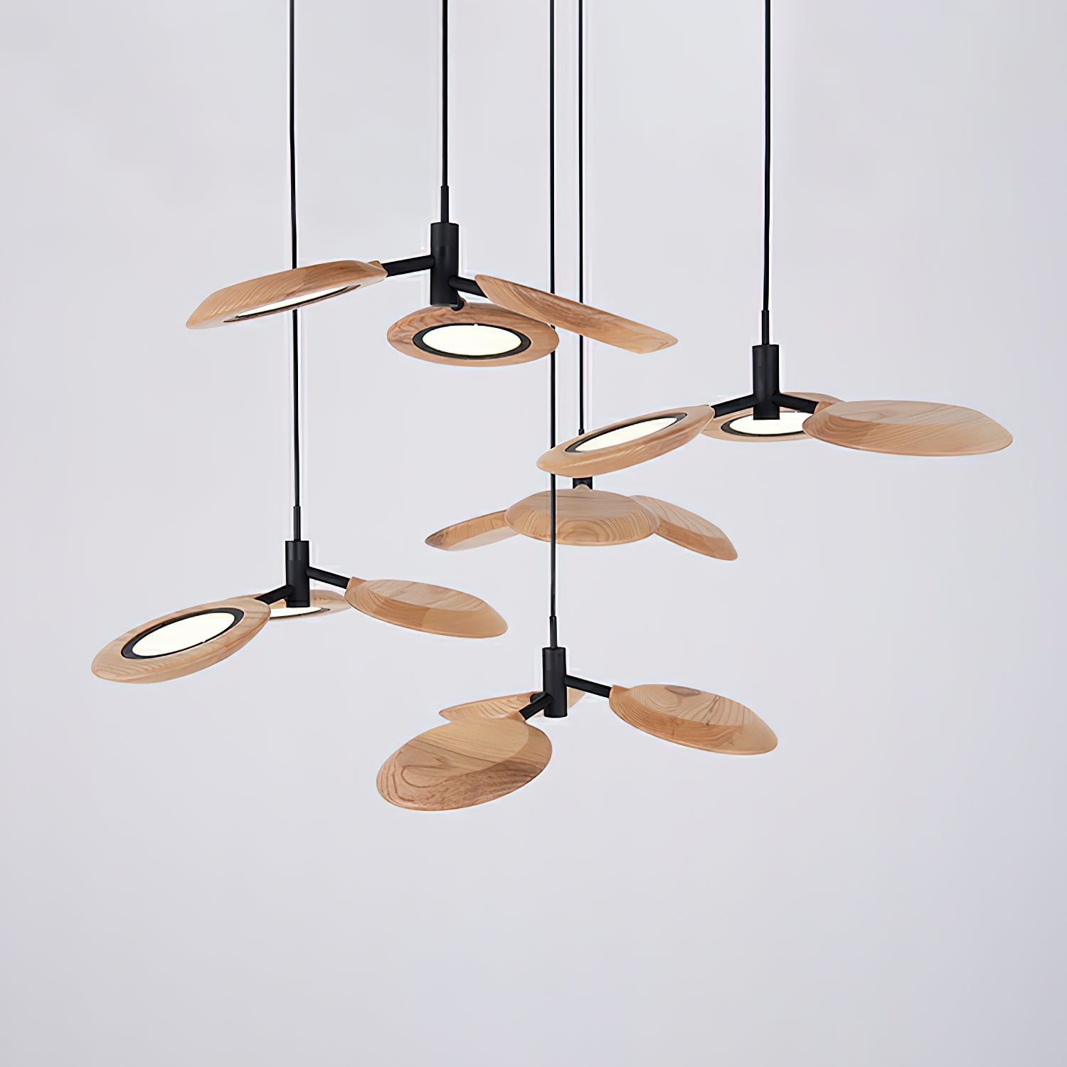 Hotaru Chandelier - Lumpaz