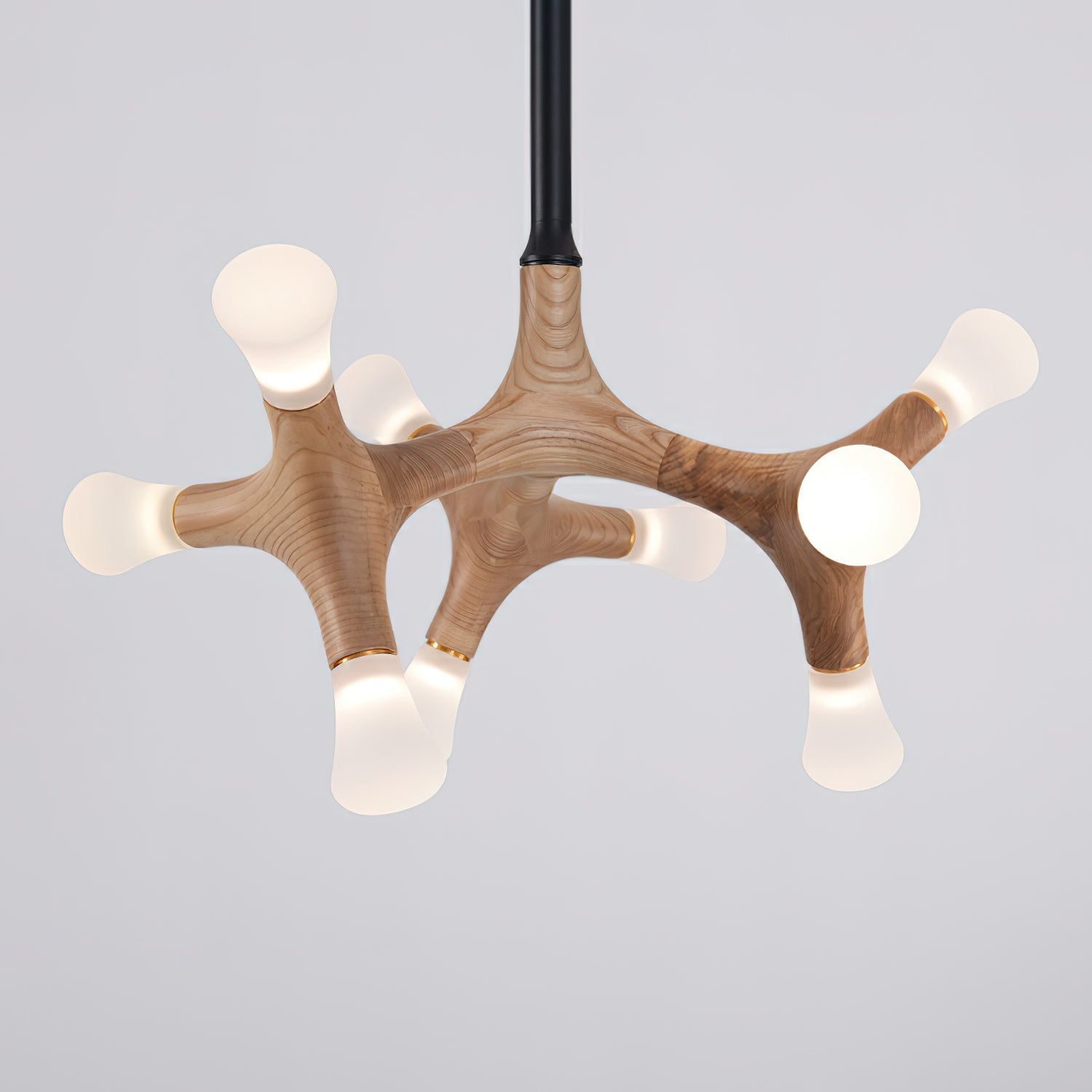 Flower Bone Chandelier - Lumpaz