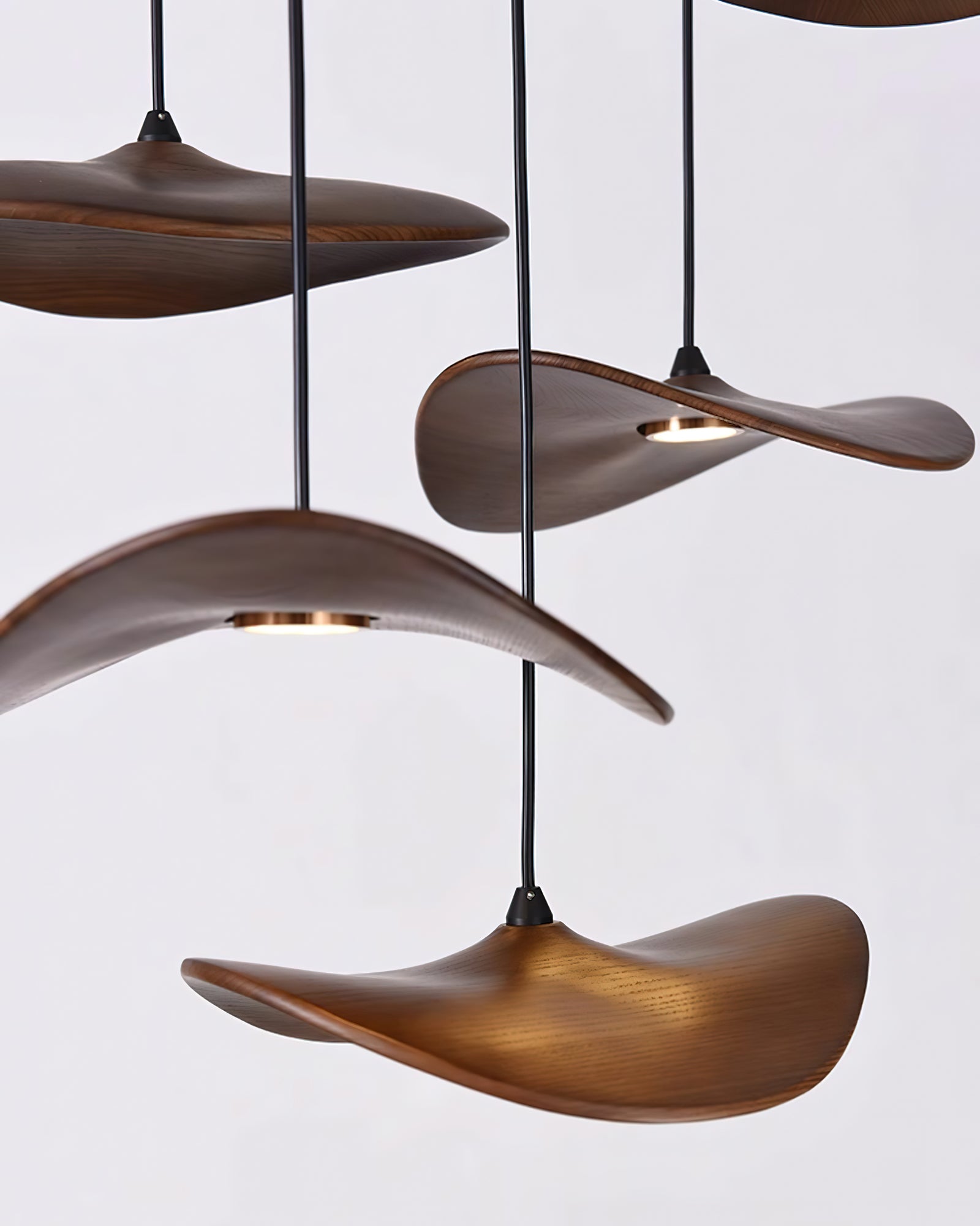 Empty Leaf Chandelier - Lumpaz