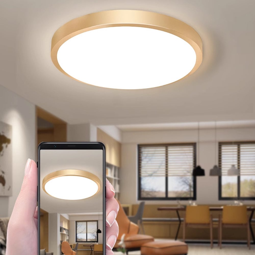 Gold Vintage Round Flush Mount Ceiling Light - Lumpaz
