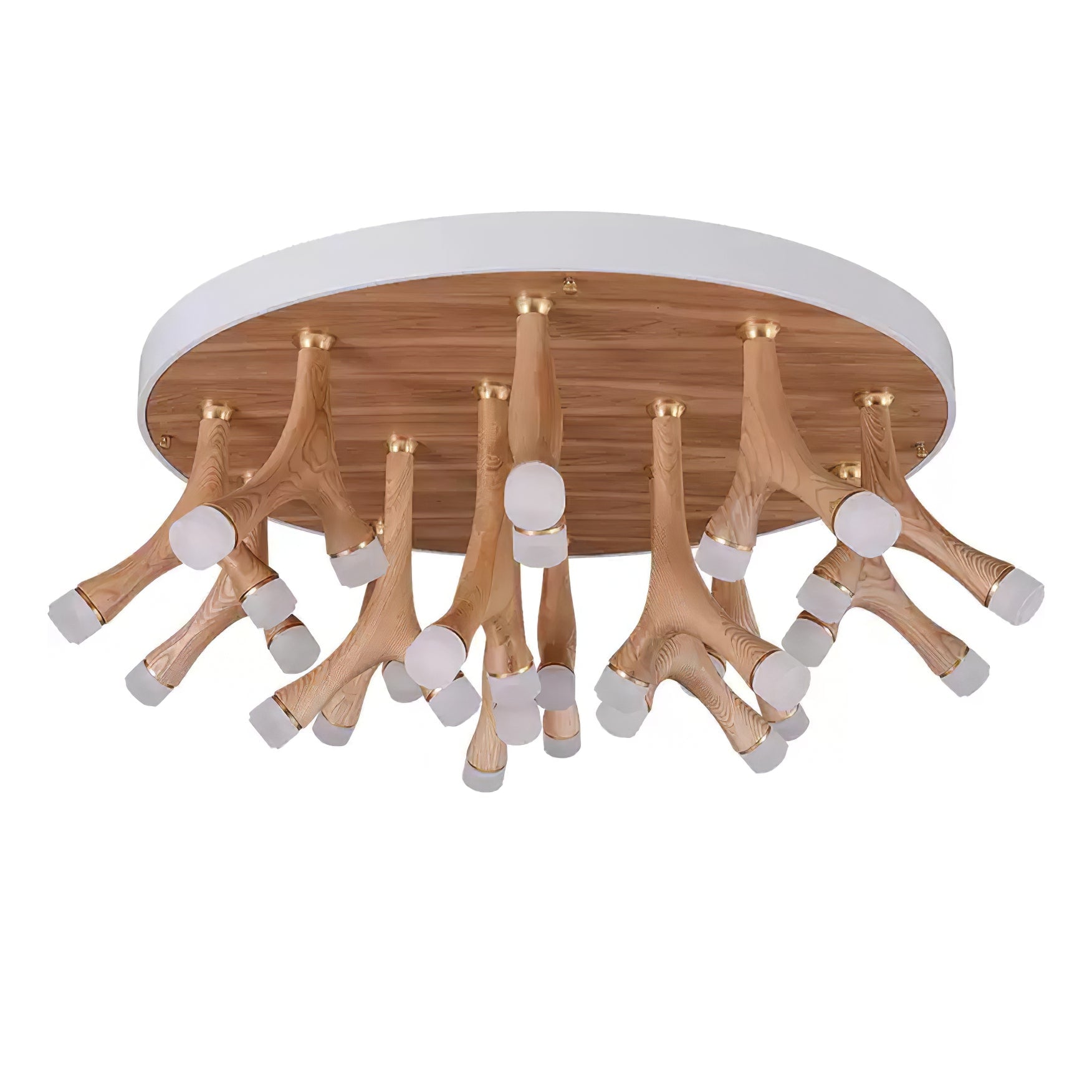Tentacle Ceiling Lamp - Lumpaz