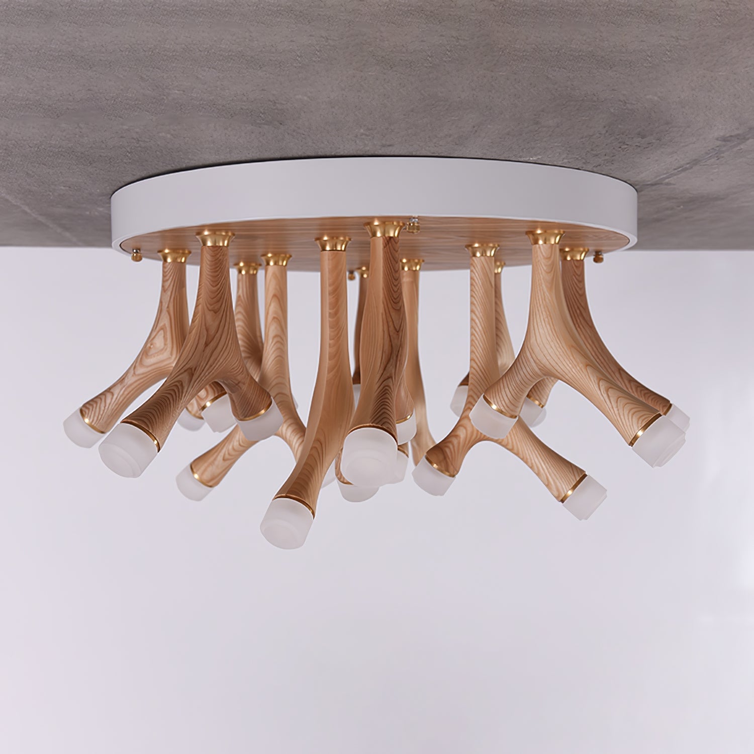 Tentacle Ceiling Lamp - Lumpaz