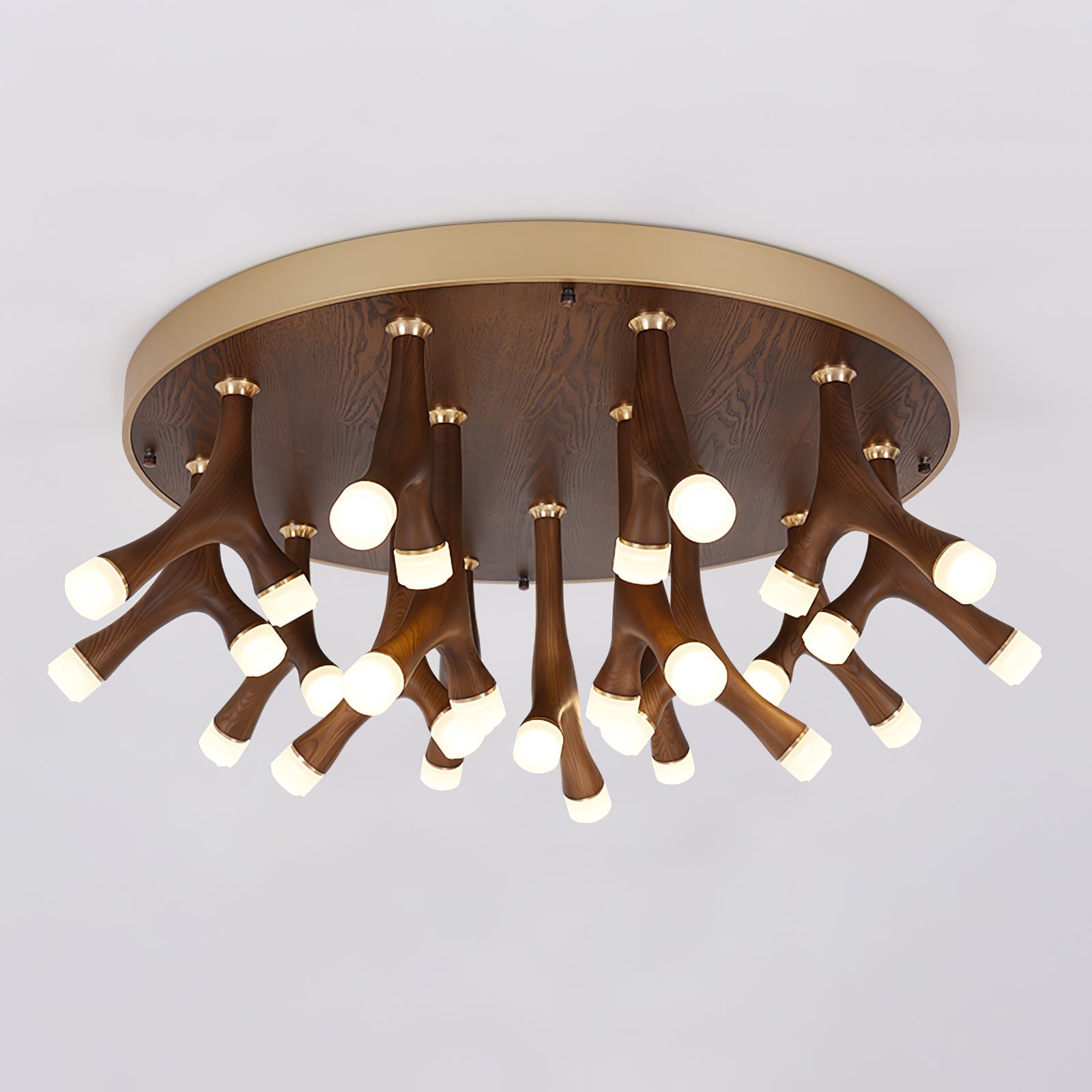 Tentacle Ceiling Lamp - Lumpaz