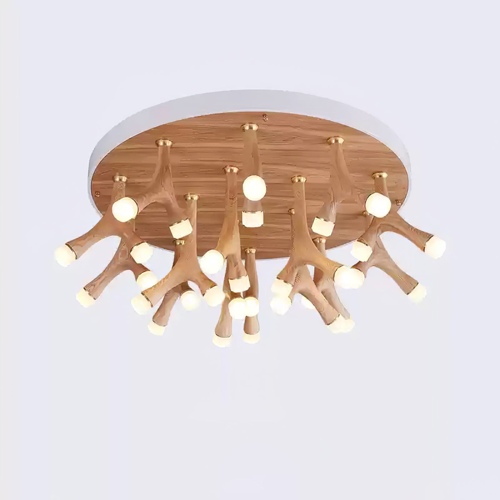 Tentacle Ceiling Lamp - Lumpaz