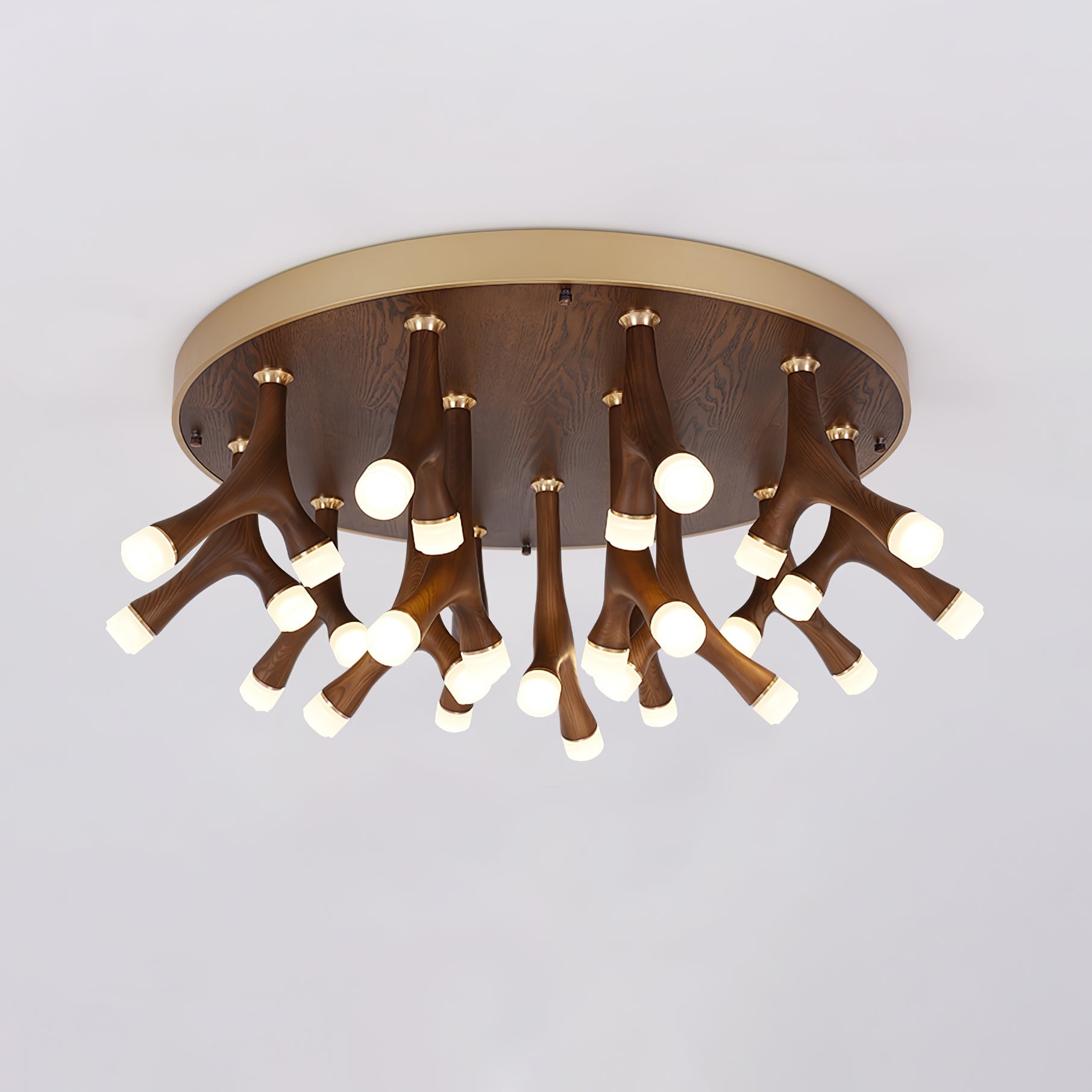 Tentacle Ceiling Lamp - Lumpaz