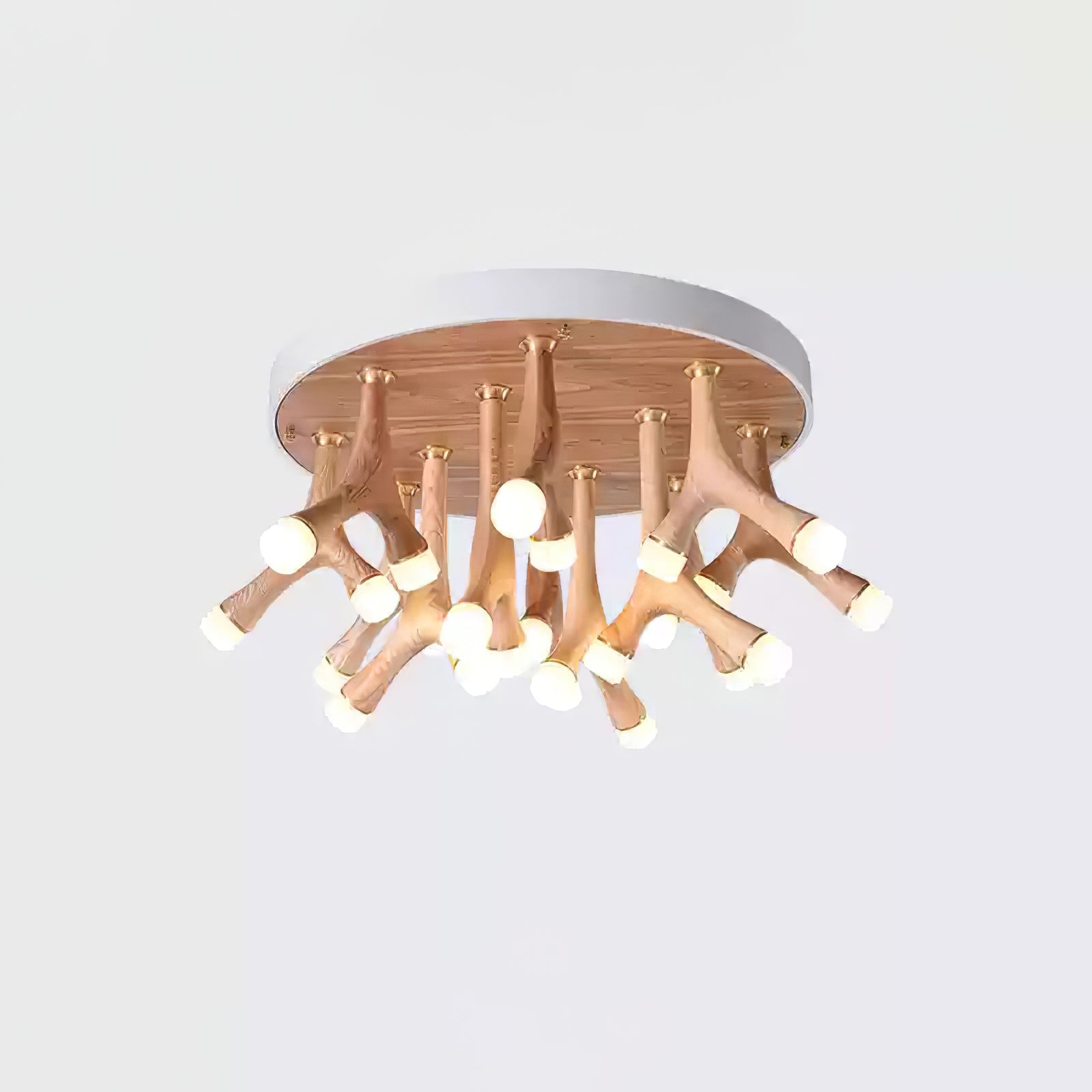 Tentacle Ceiling Lamp - Lumpaz