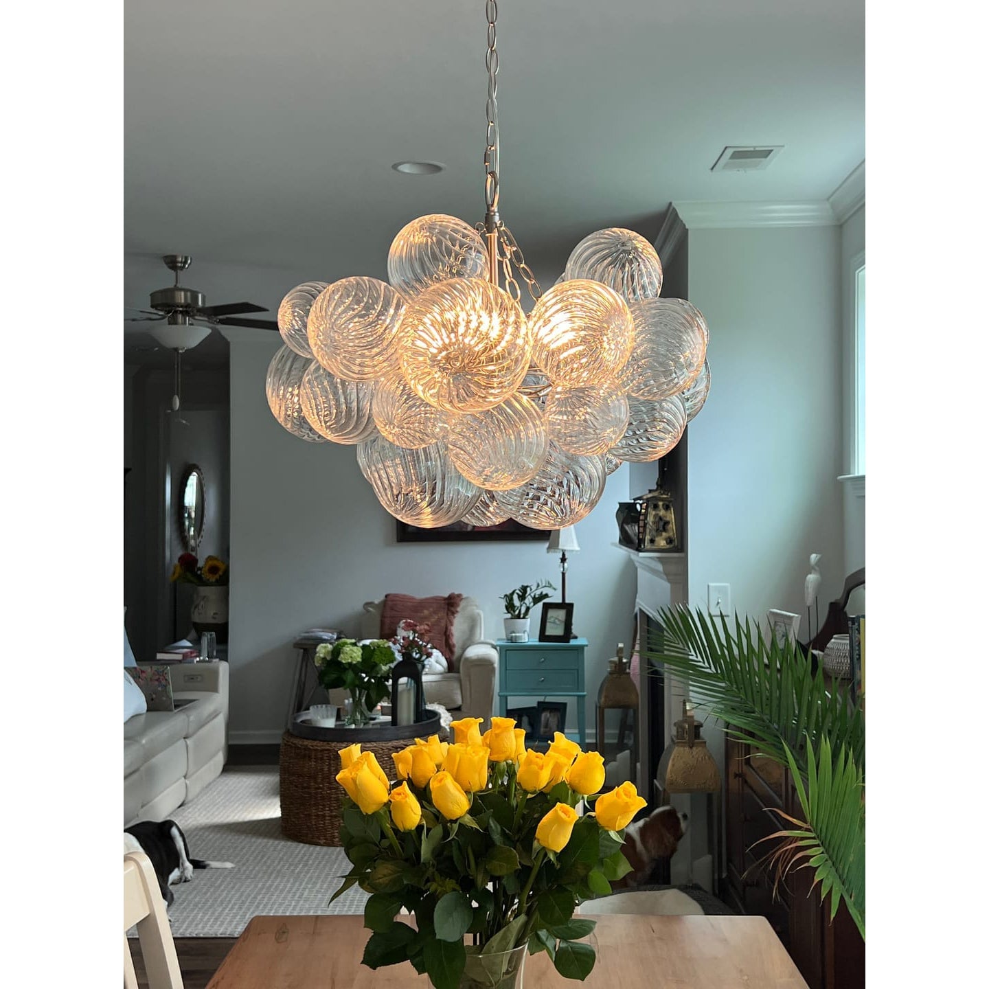 Glass Ball Bubbles Chandelier - Lumpaz