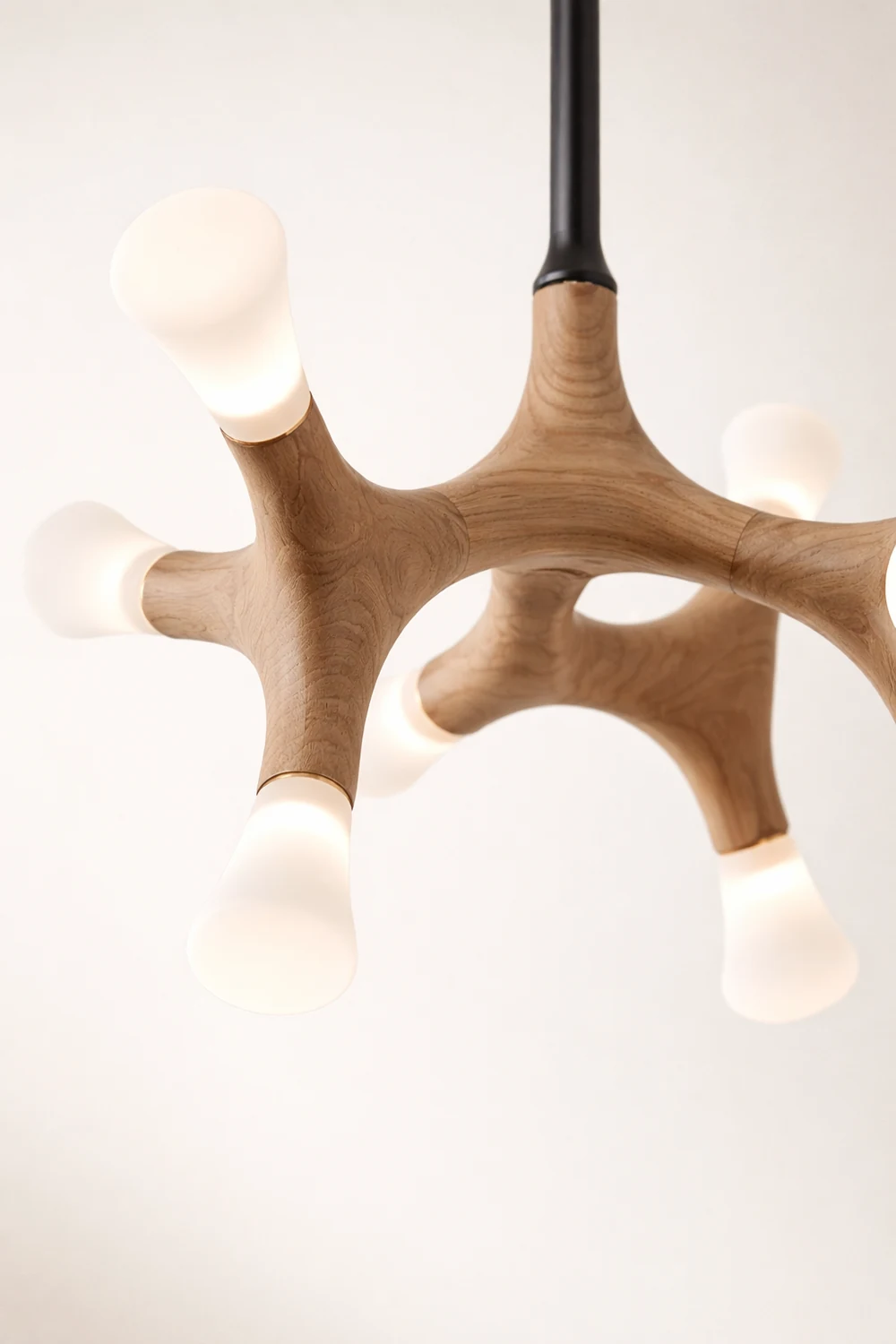 Flower Bone Chandelier - Lumpaz