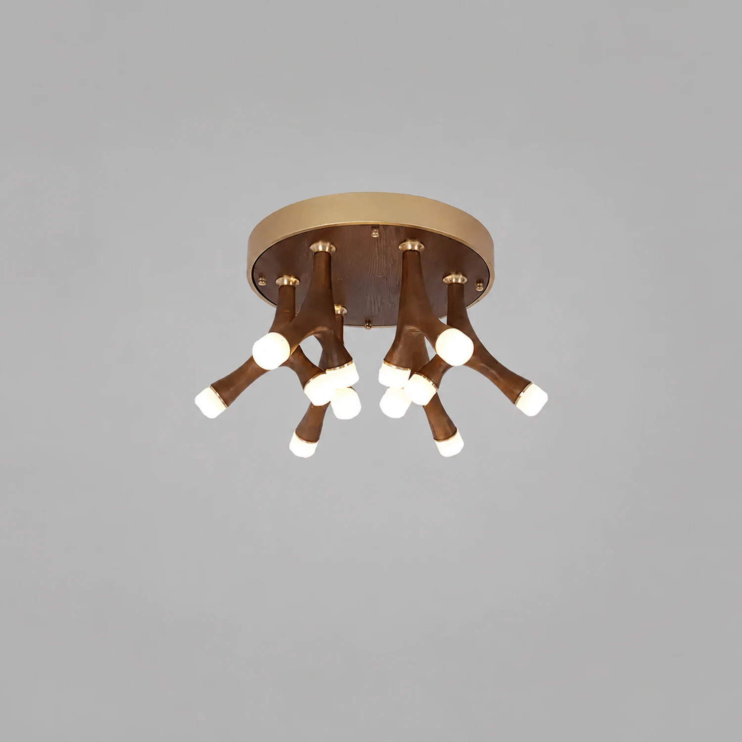 Tentacle Ceiling Lamp - Lumpaz