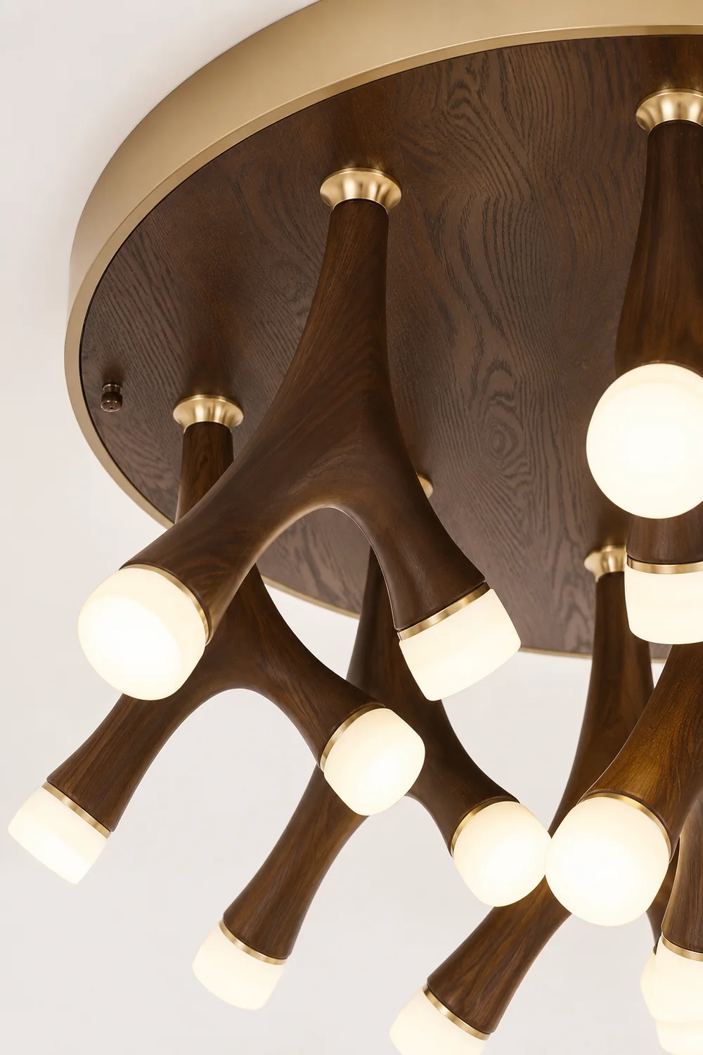 Tentacle Ceiling Lamp - Lumpaz