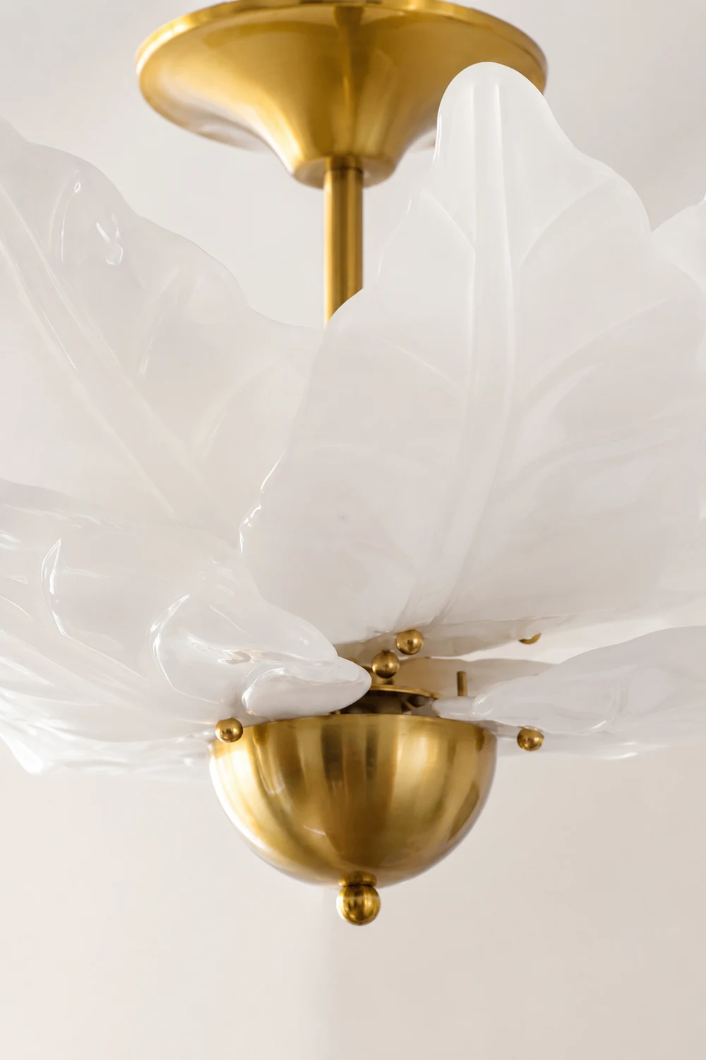 Leaf Glass Ceiling Lamp - Lumpaz
